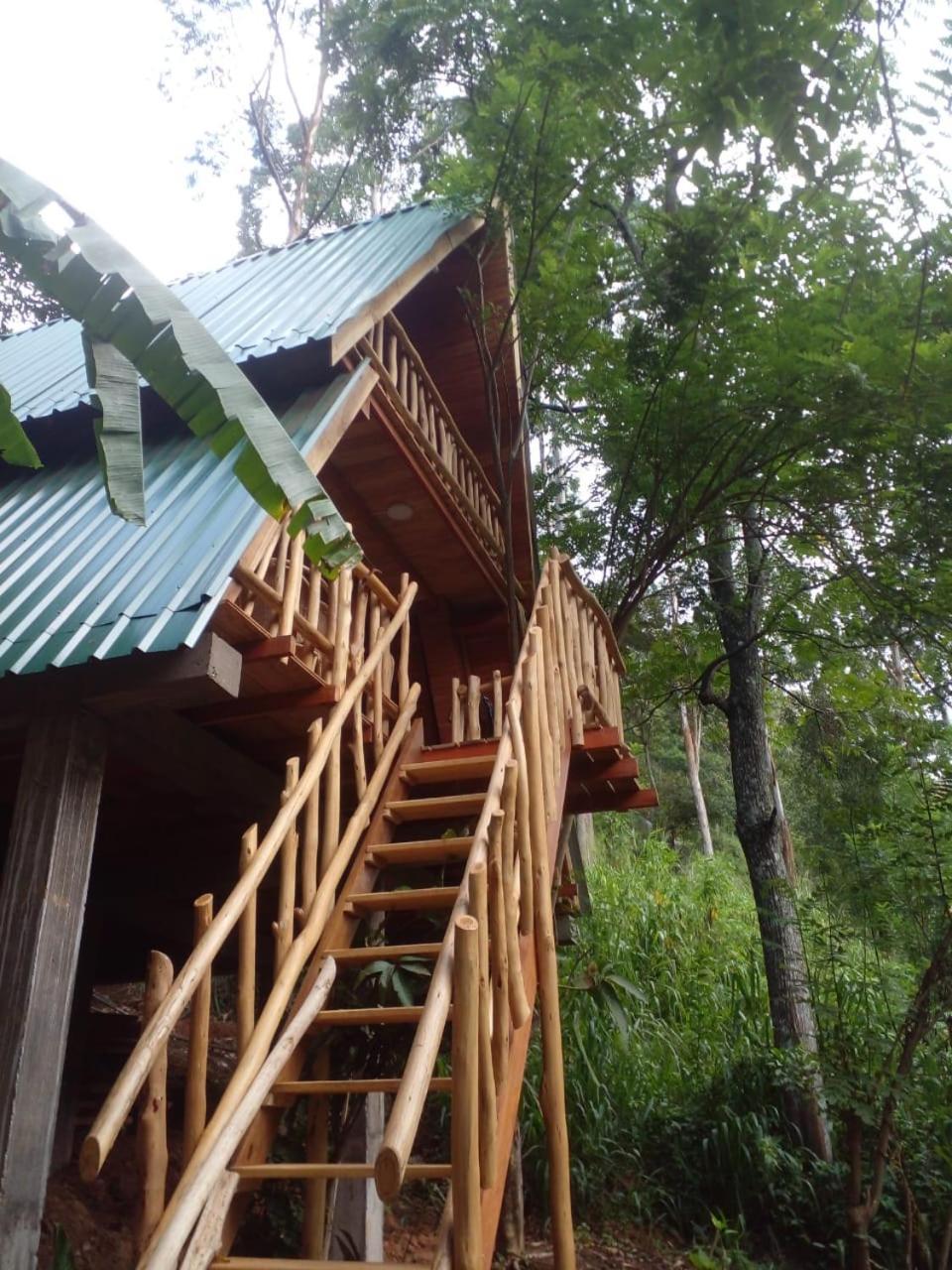 Eco Village Resort