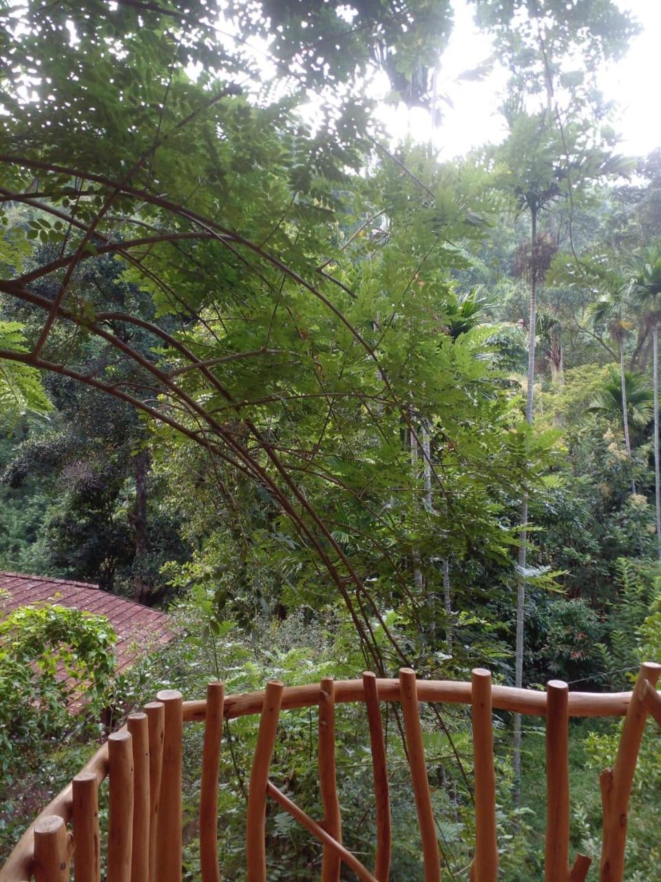 Eco Village Resort *