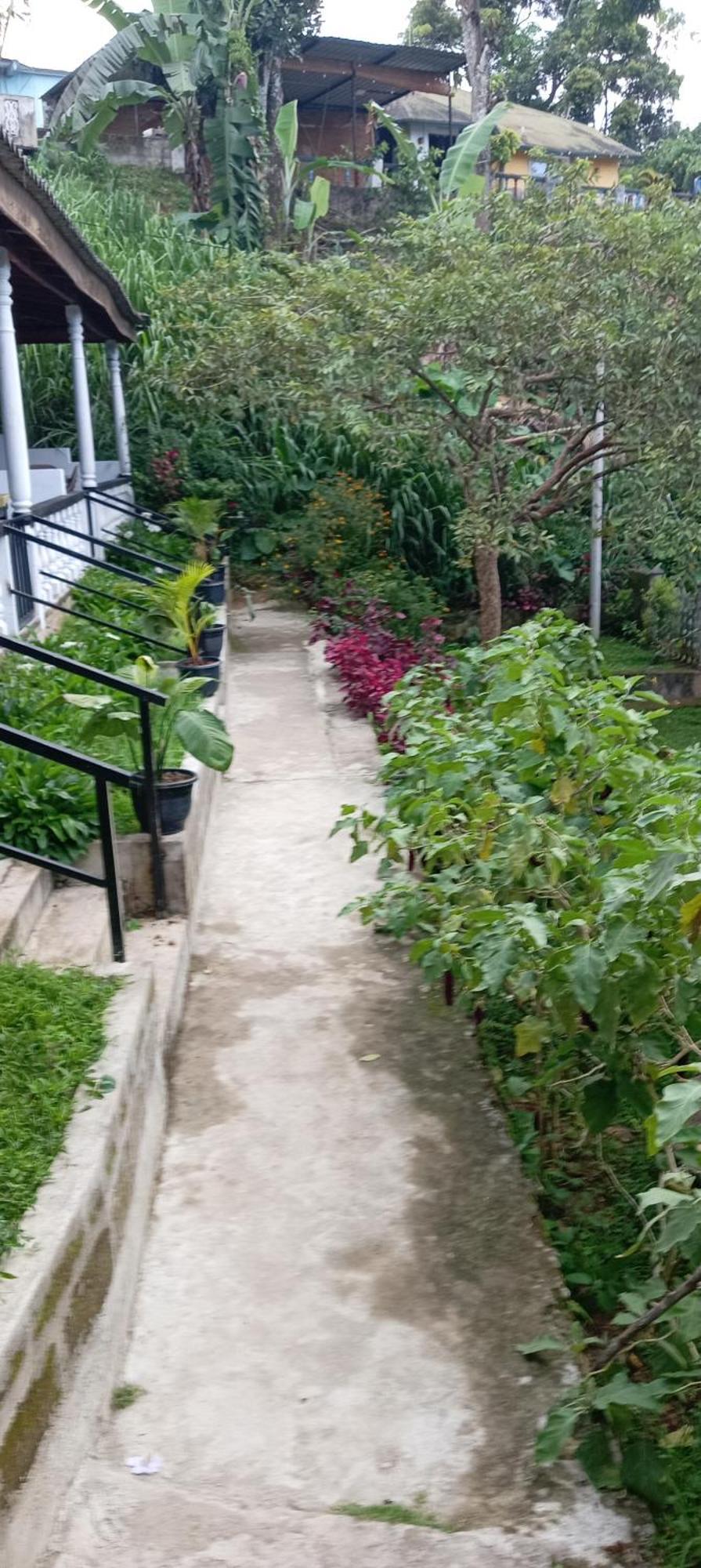 Guest house Soorya *