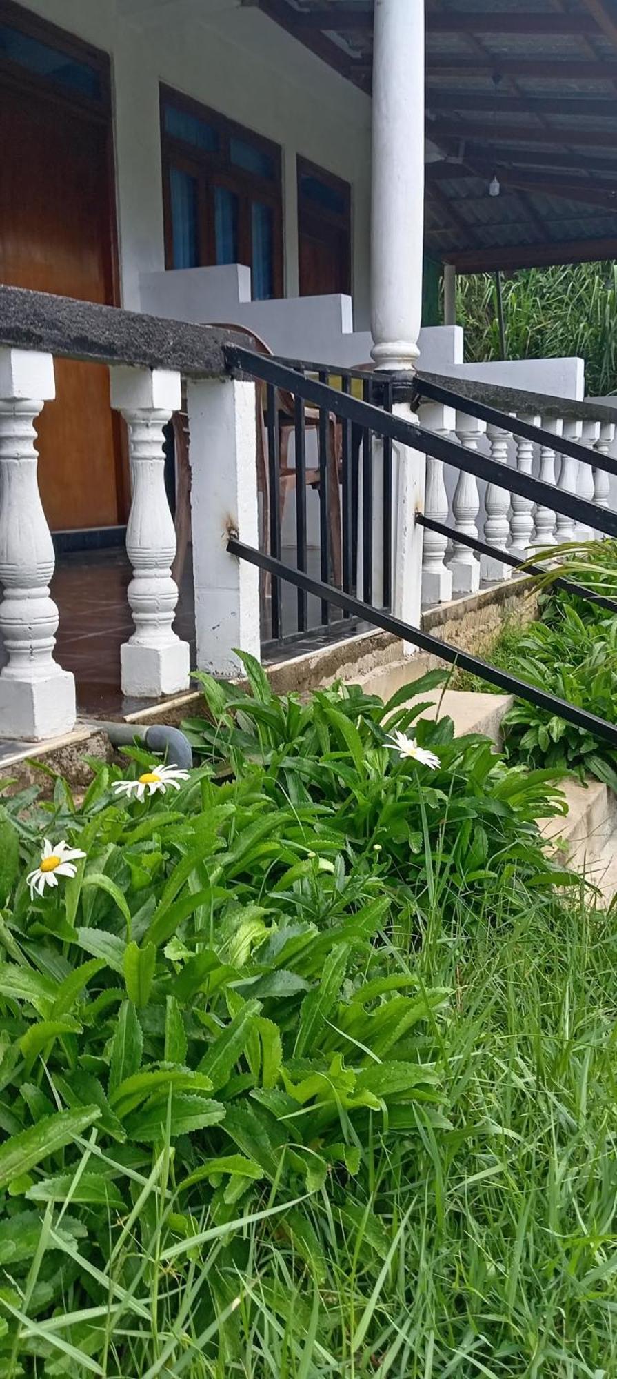 Soorya Guest house