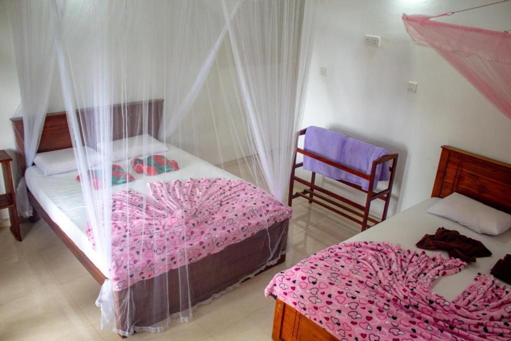 Amado Homestay