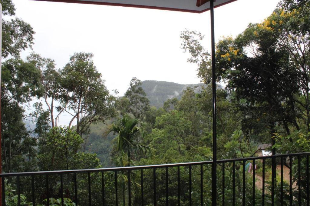 Homestay Amado Ella