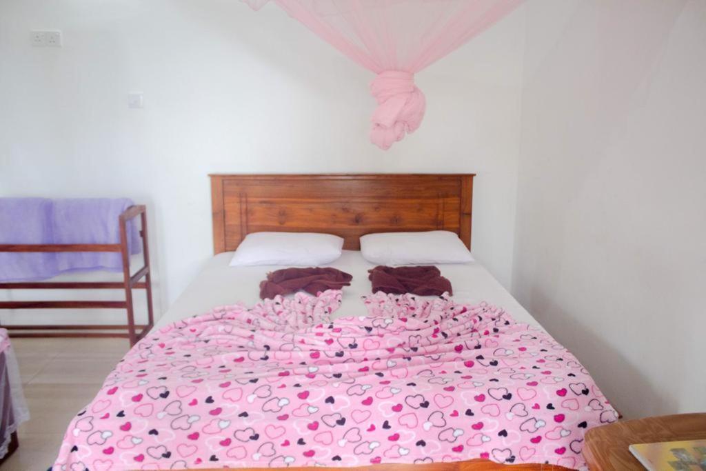 Homestay Amado *