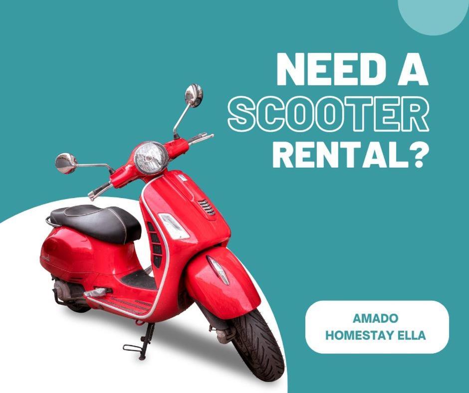 Homestay Amado *