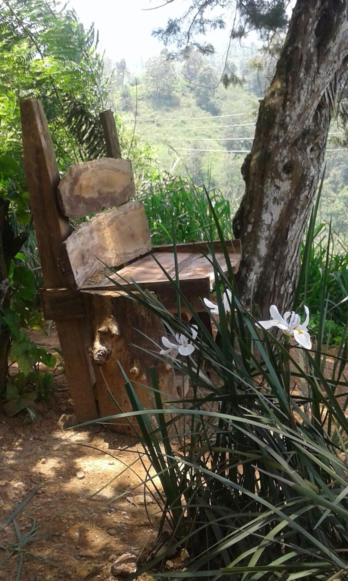 Dew Drop Resort