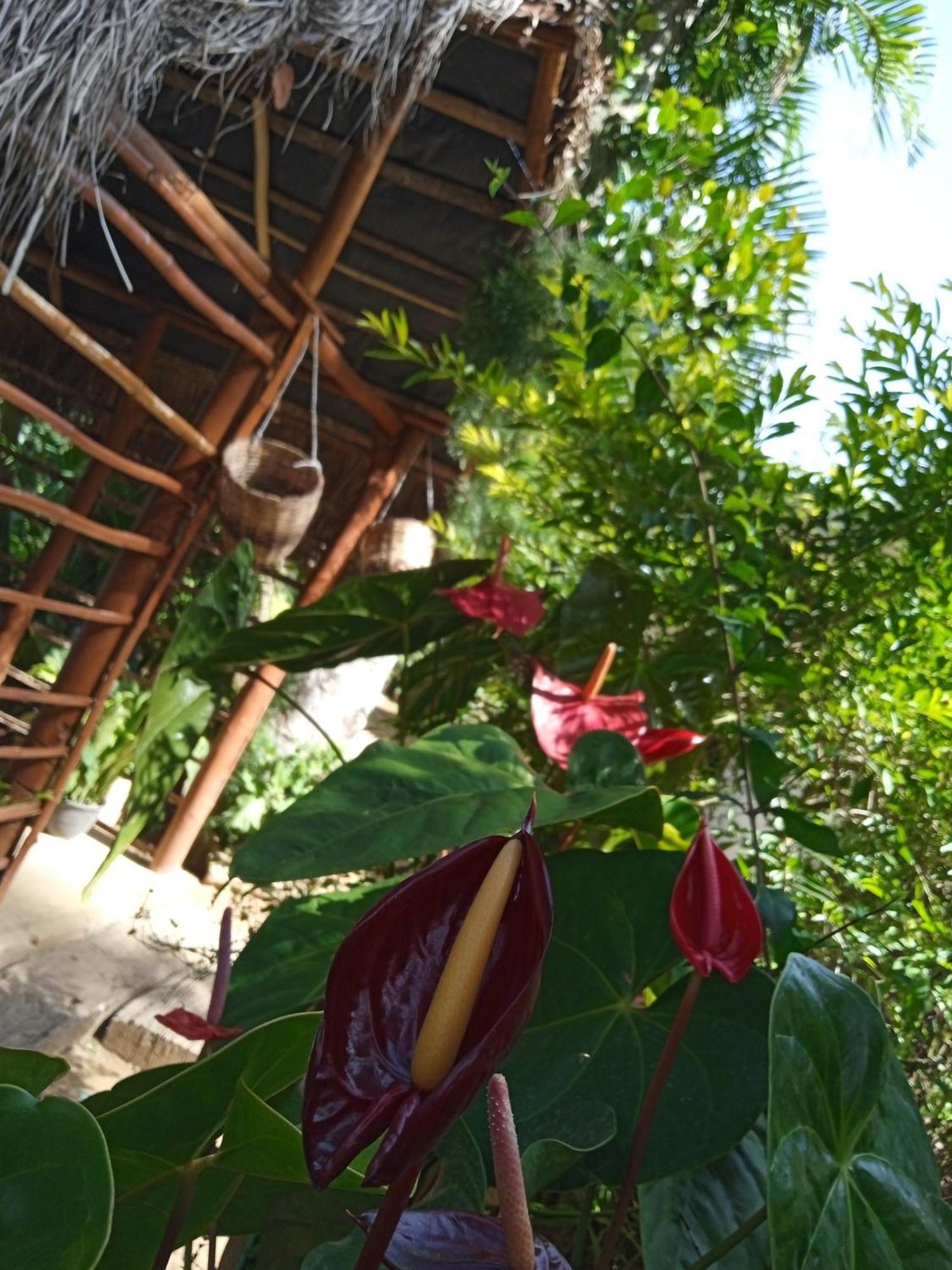 Nine Arch Corner Homestay Ella