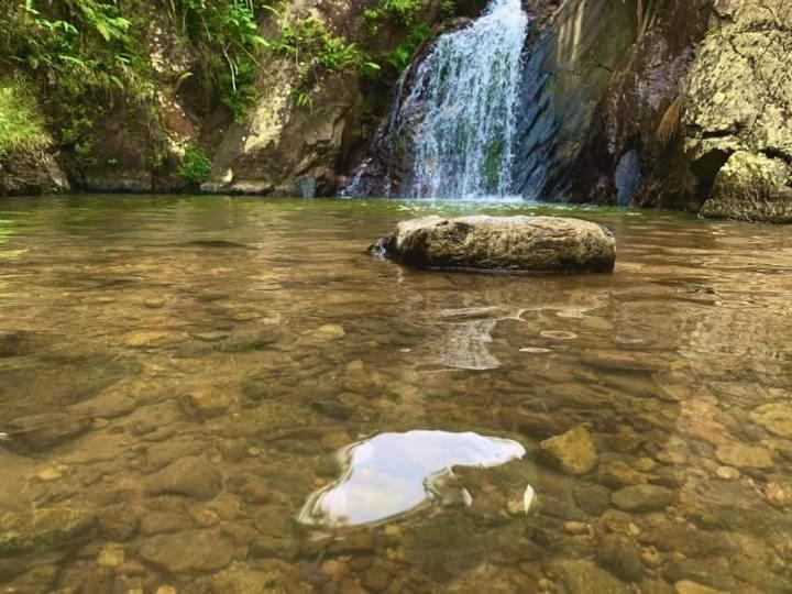 Nature's Rest *