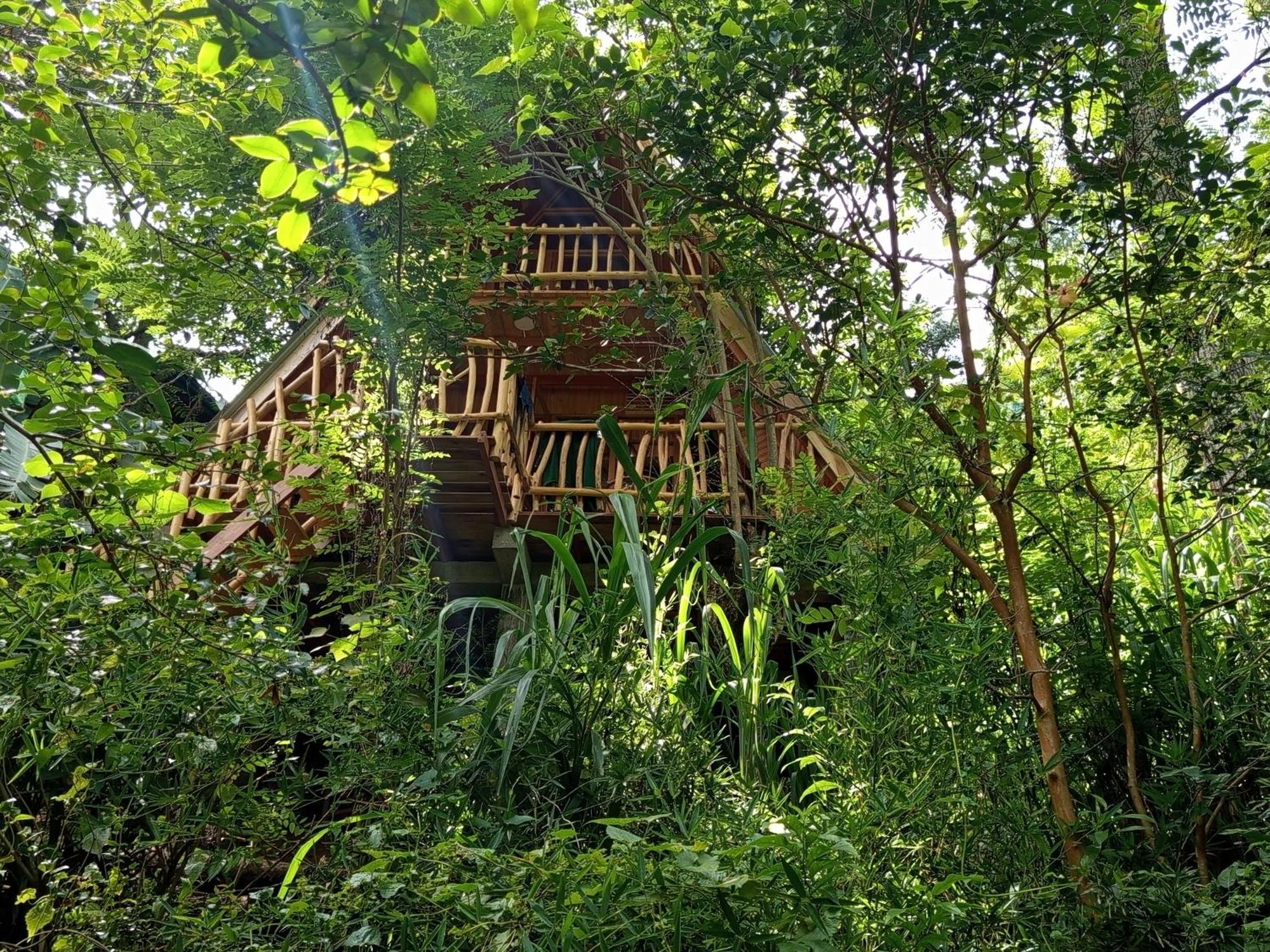 Eco Village * Ella