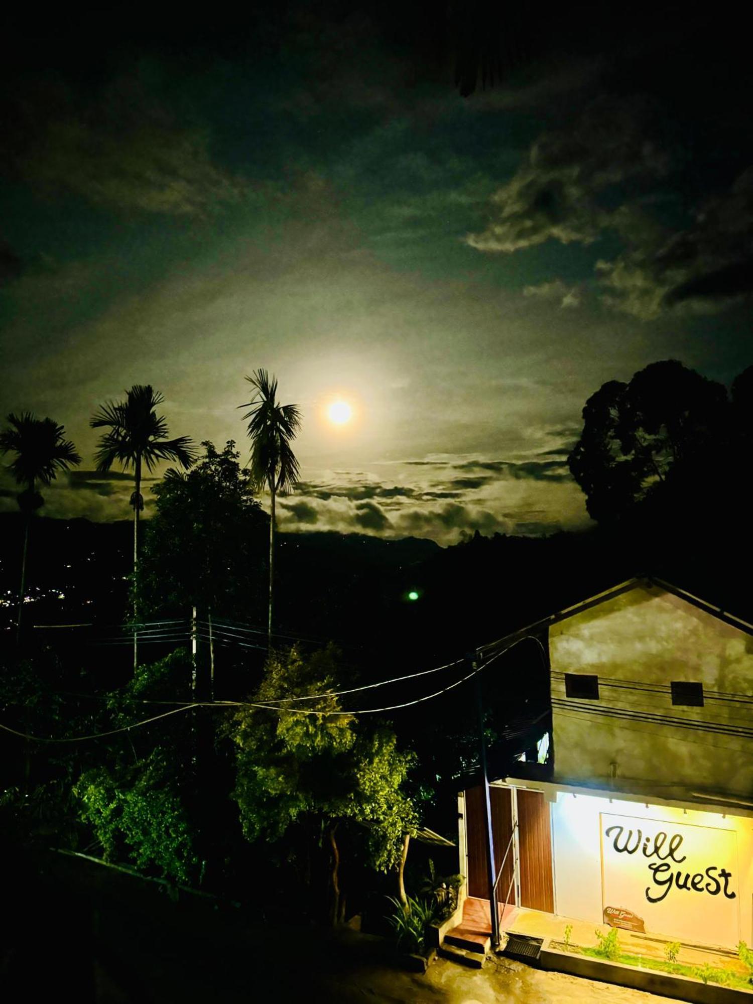 Will Guest Homestay