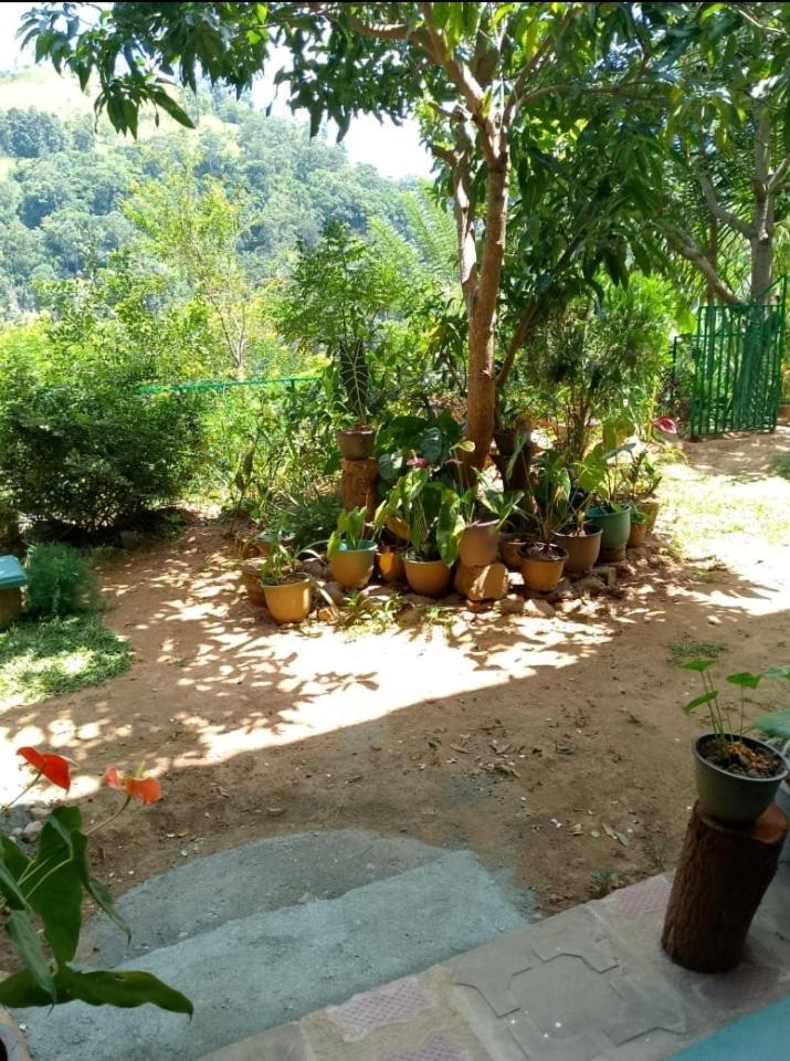 Bed & Breakfast Pasan Guest *