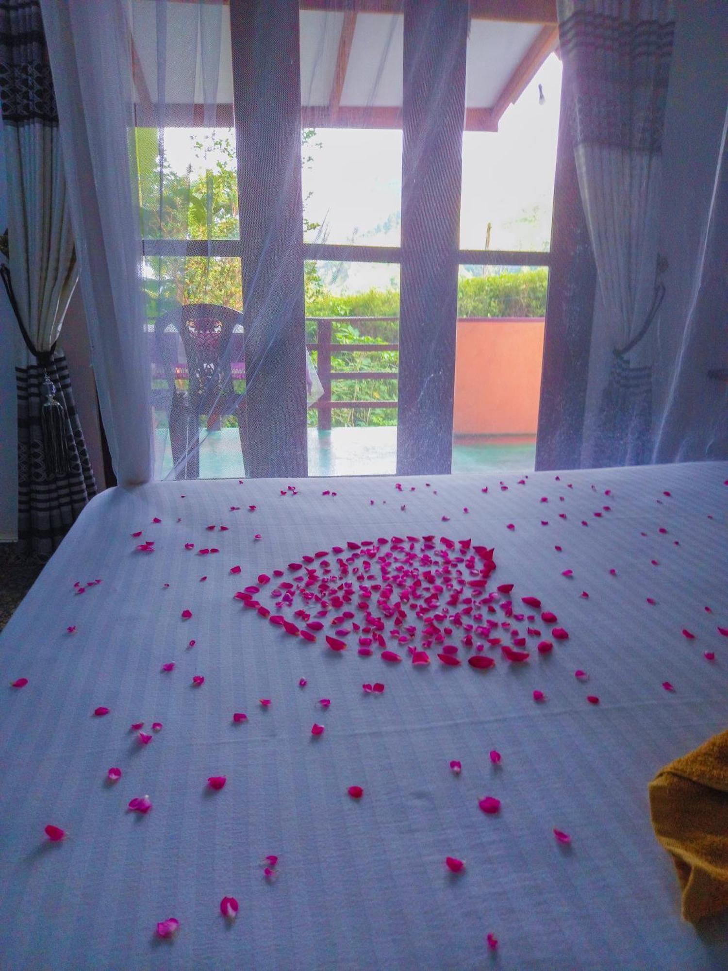 Happy View Homestay