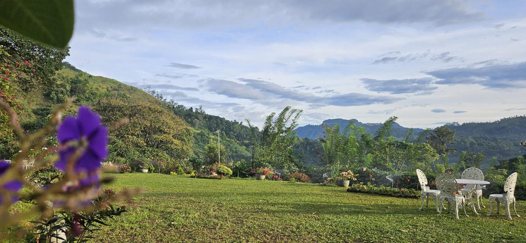Sithara Estate * Ella