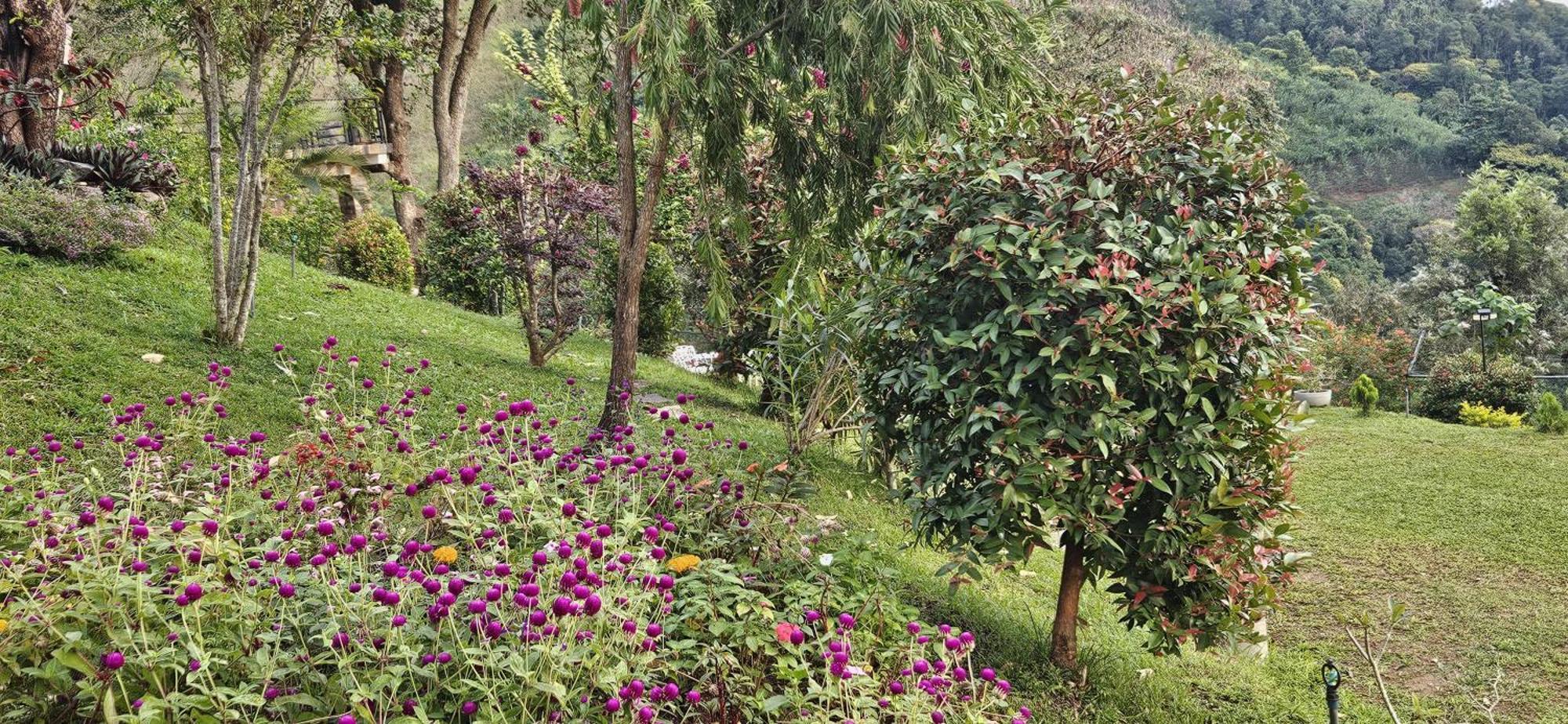Sithara Estate Villa *