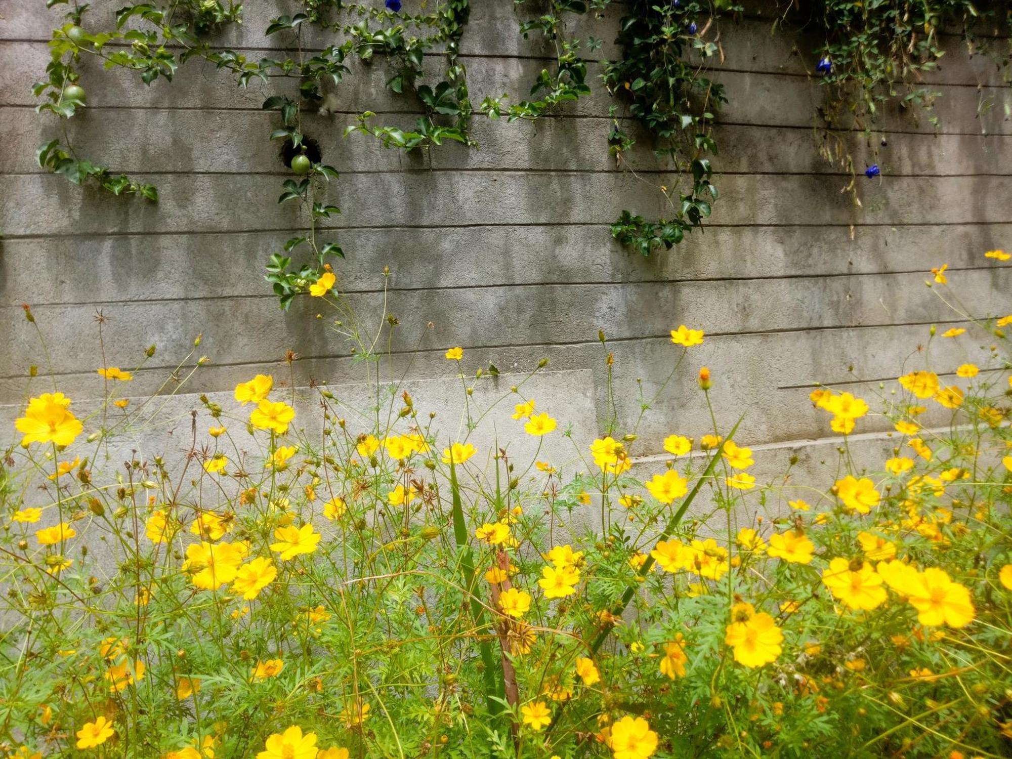 Homestay Delightful Surround