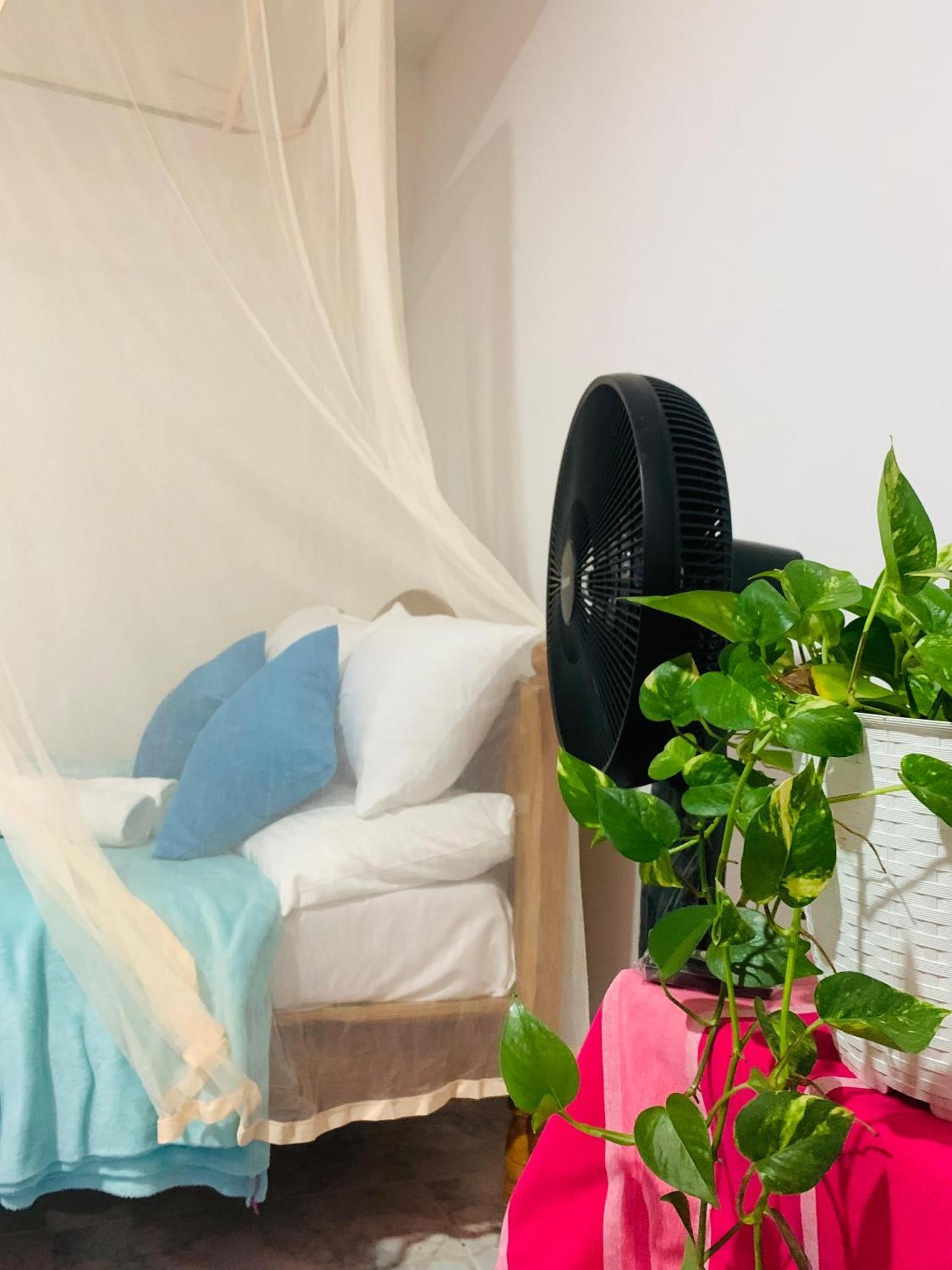Homestay Meditation Monastery