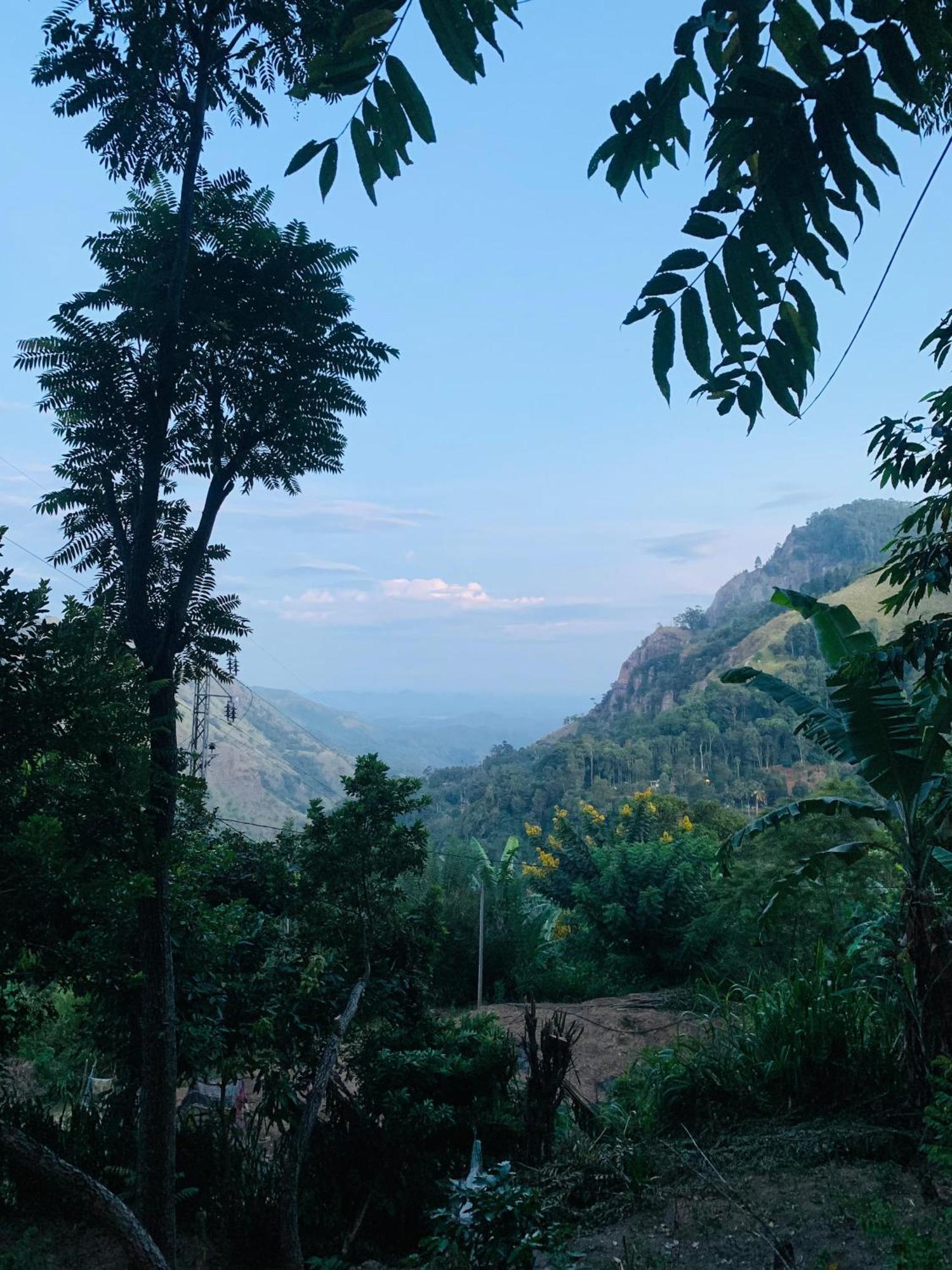 Meditation Monastery Homestay