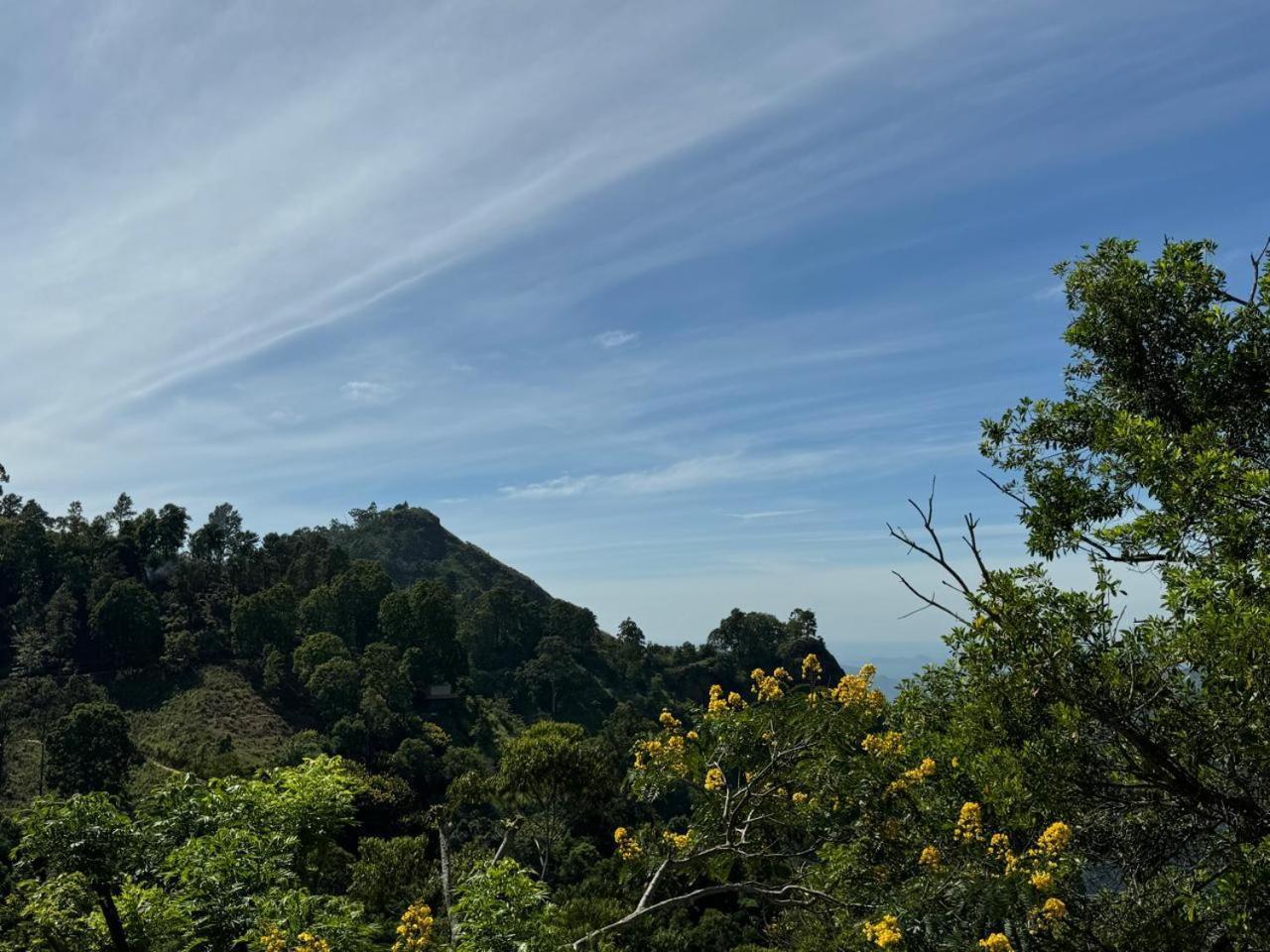 Two Summit View Guest house
