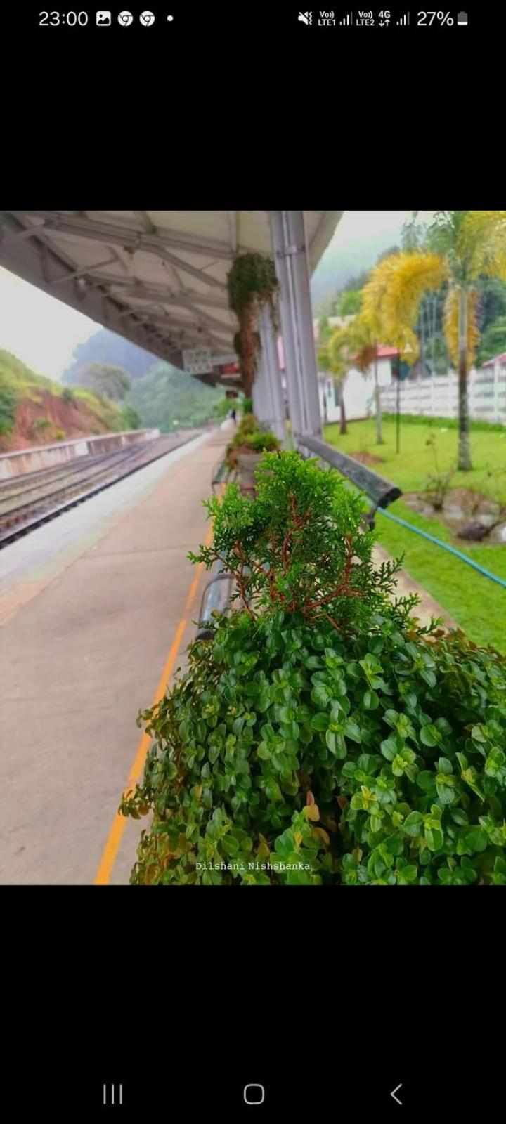 Elegant Hill *