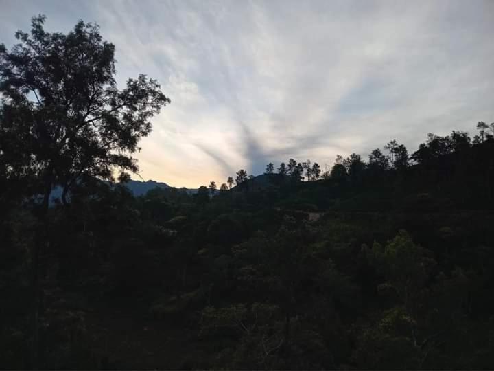 Aura View