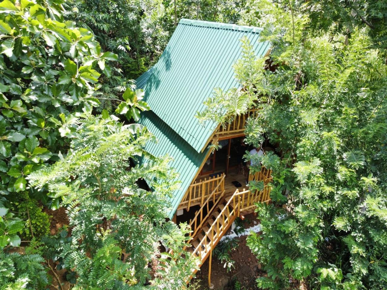 Eco Village * Ella