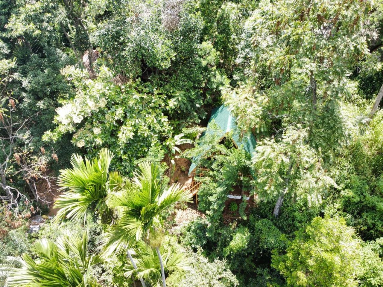 Eco Village