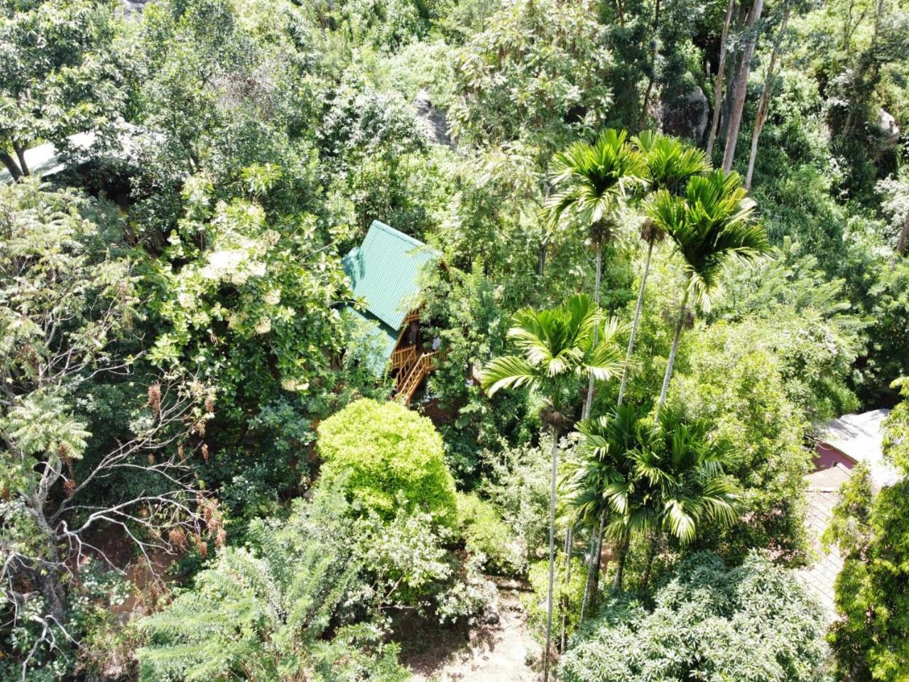 Resort Eco Village