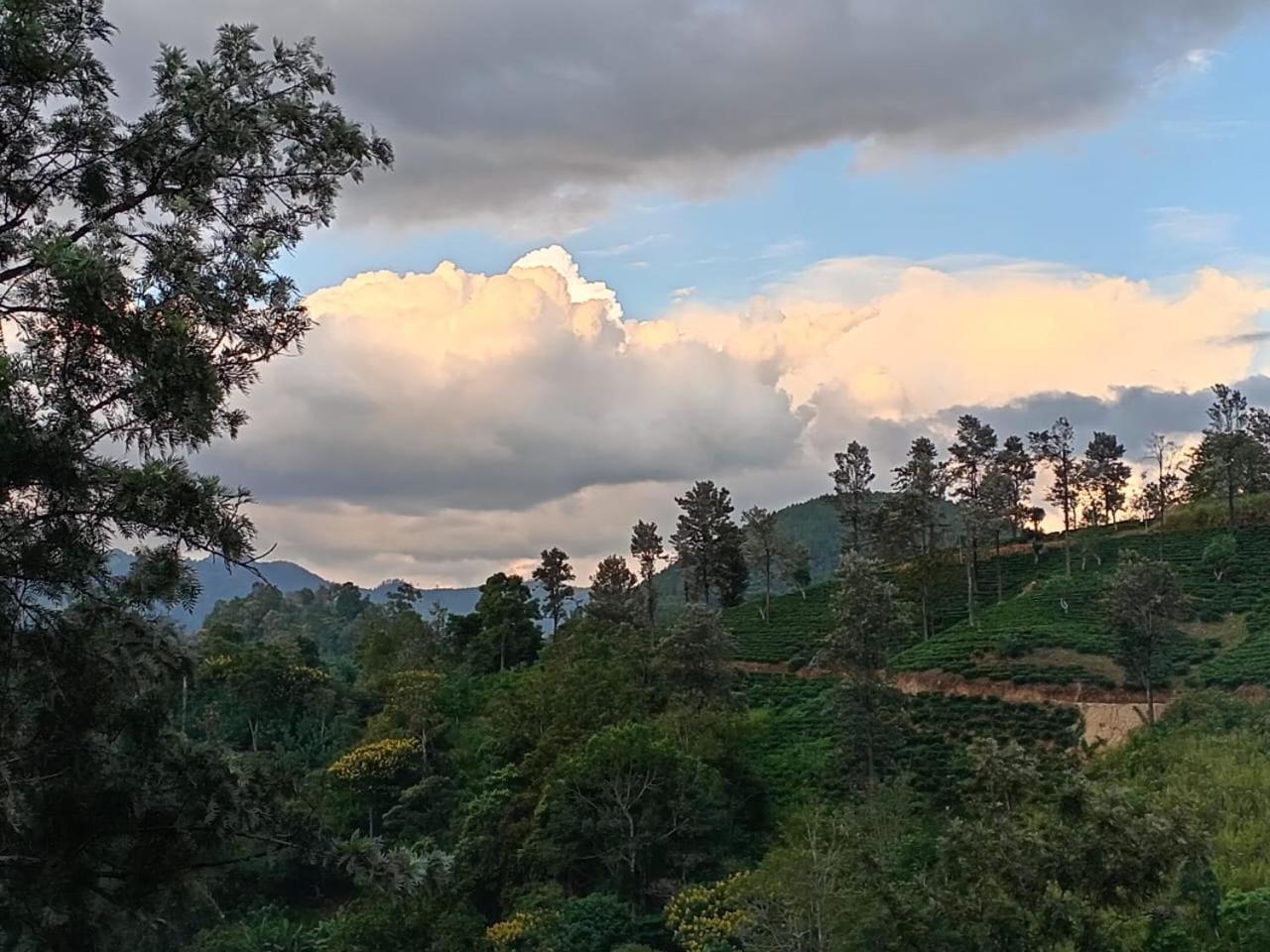 Homestay Aura View *