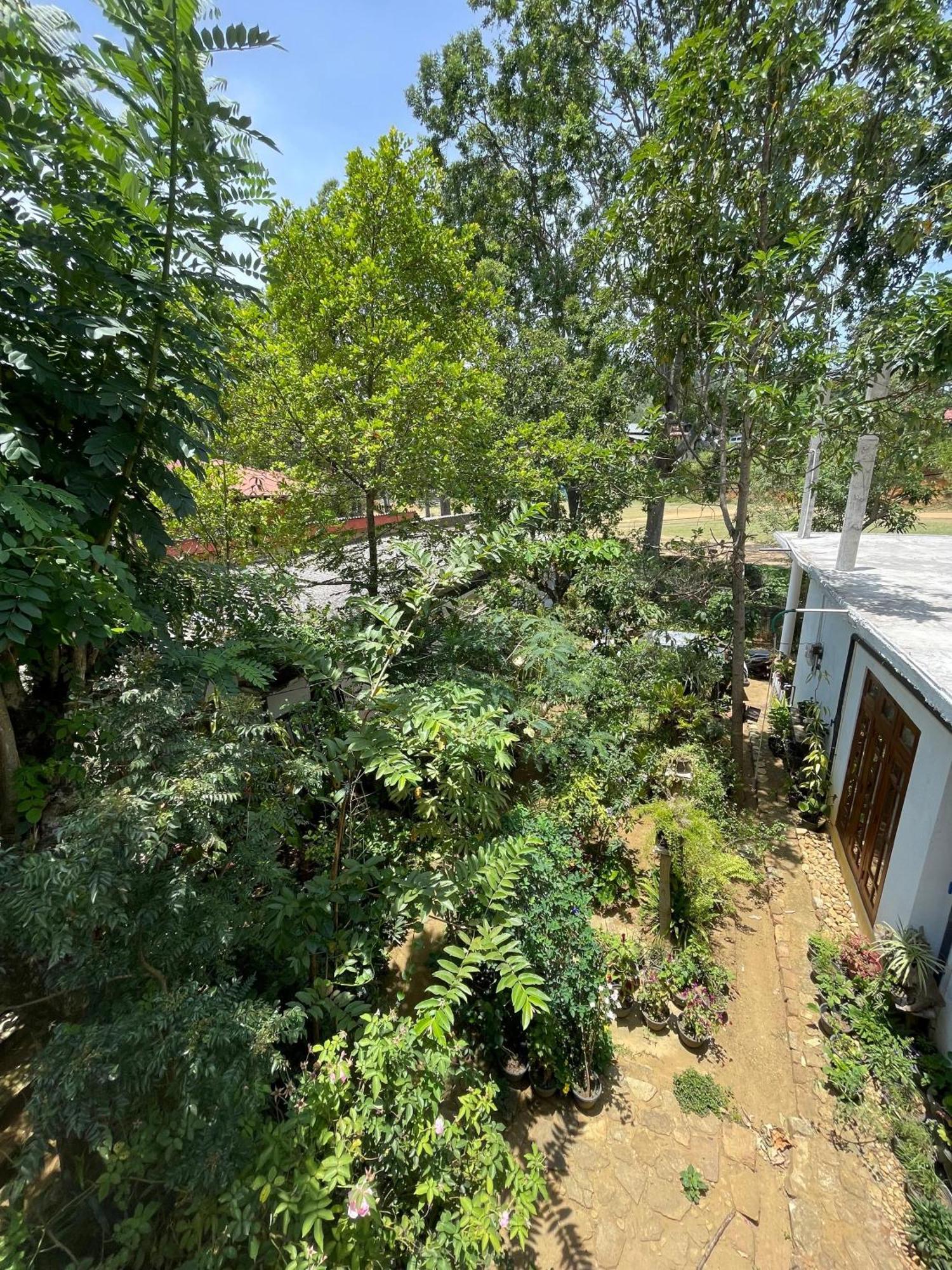 Rich Grove Guest house