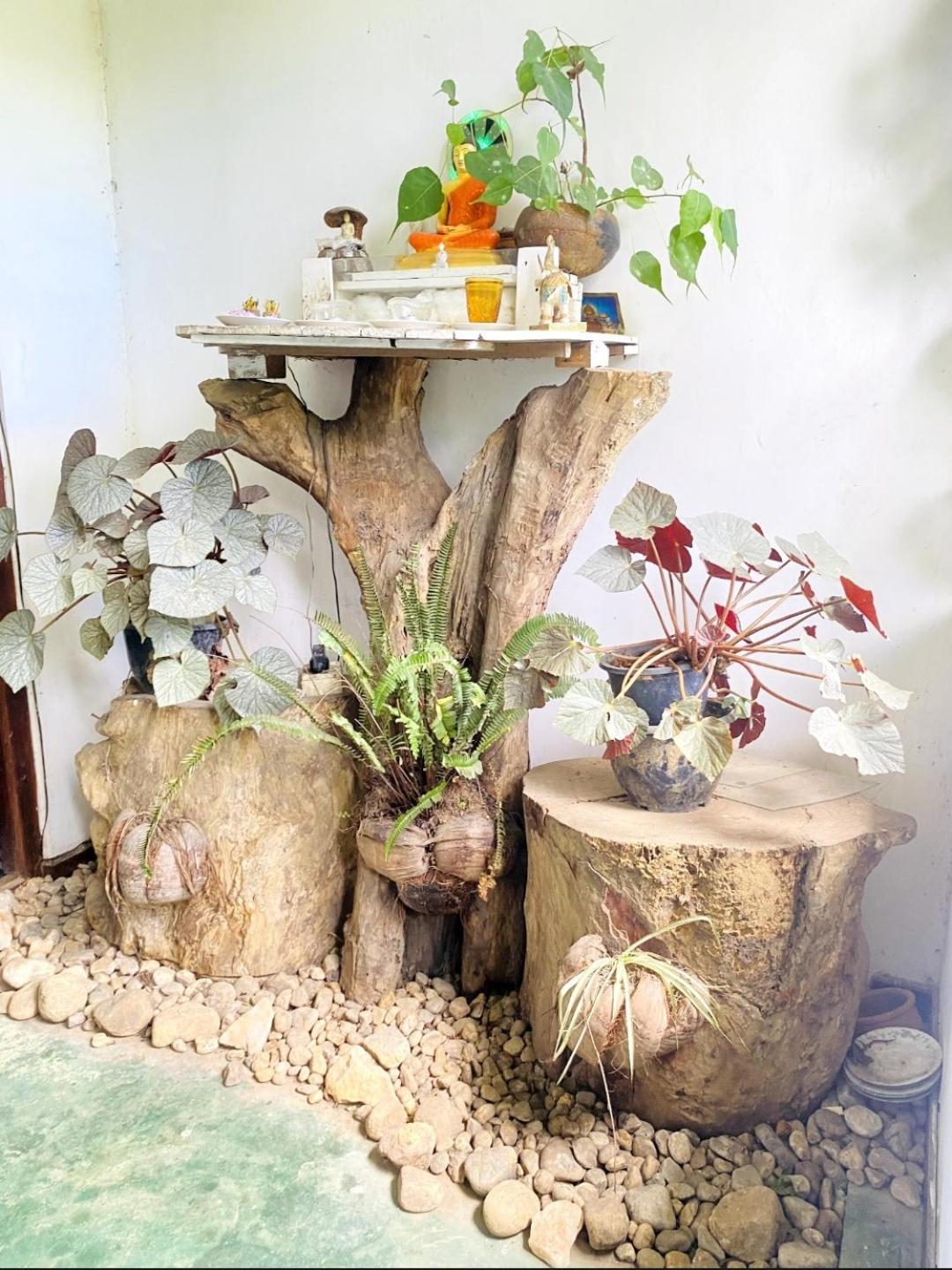 Dream Nest Homestay