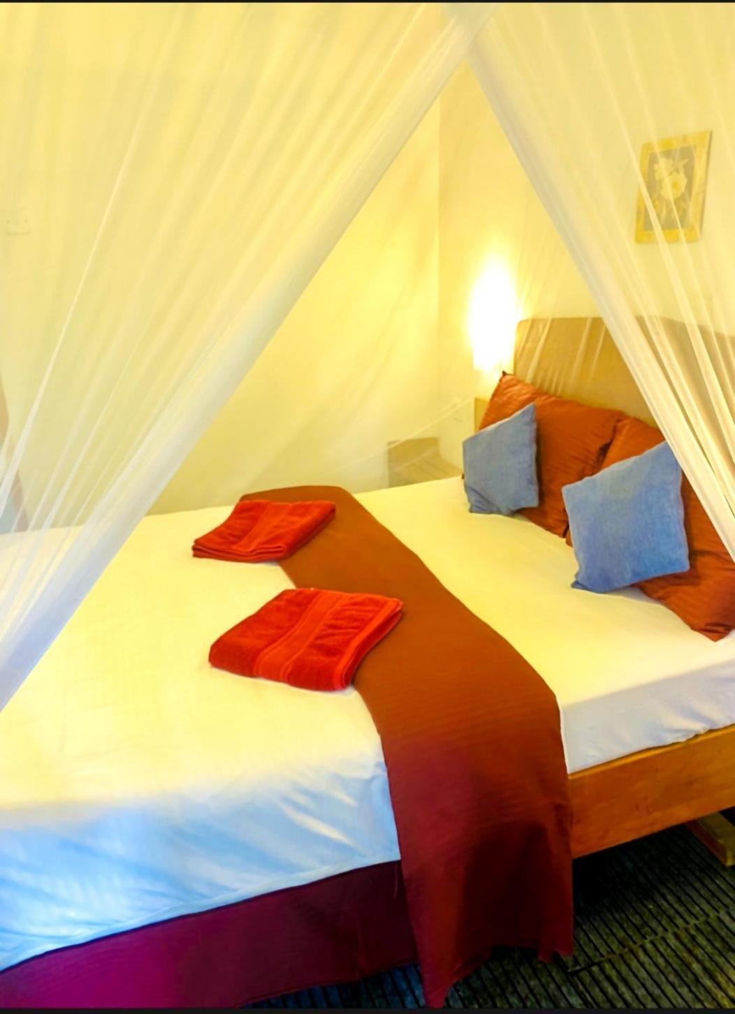 Dream Nest *