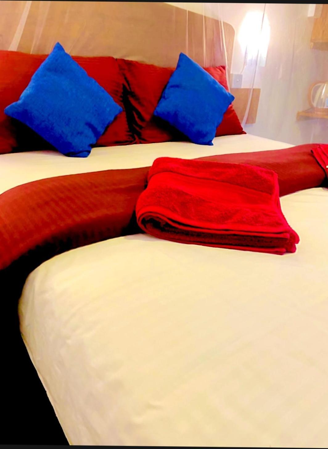 Homestay Dream Nest