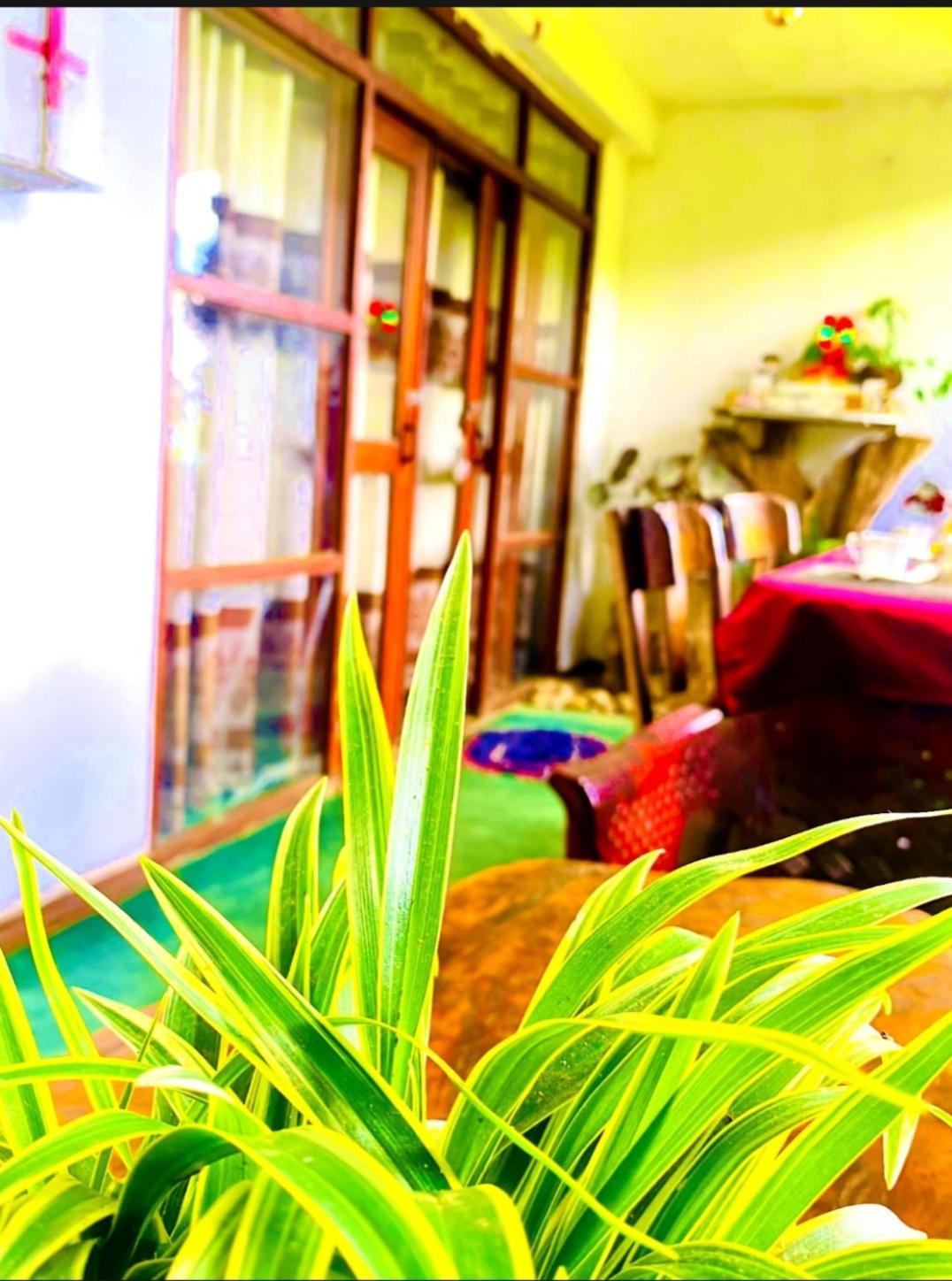 Homestay Dream Nest *