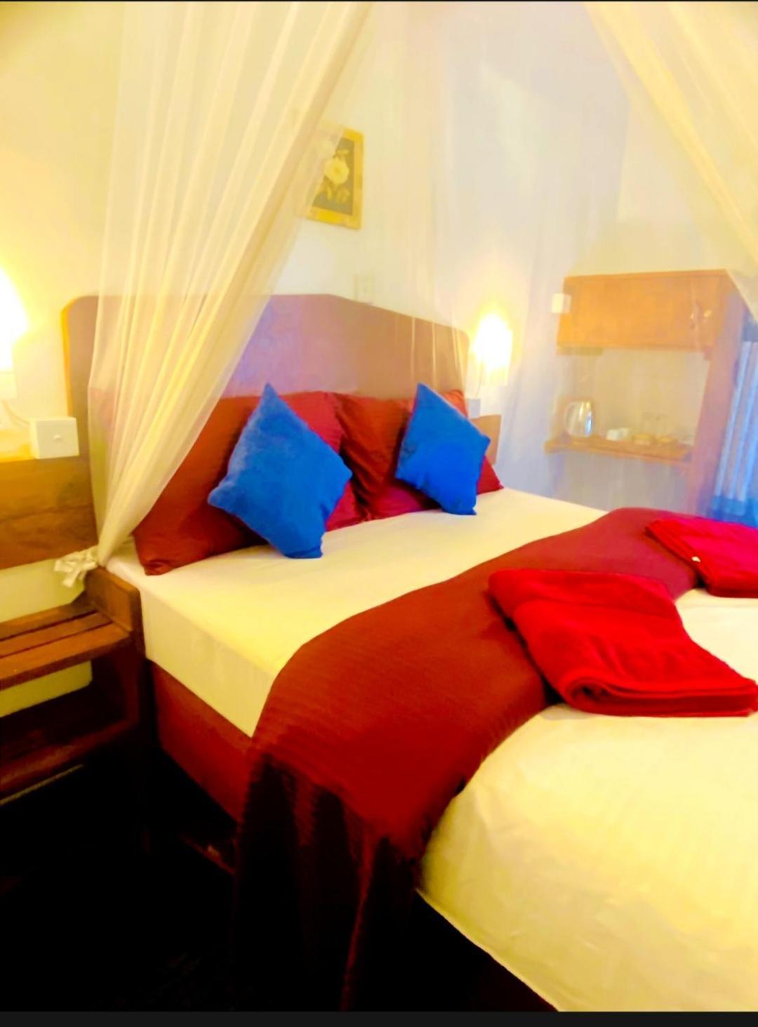 Dream Nest * Ella