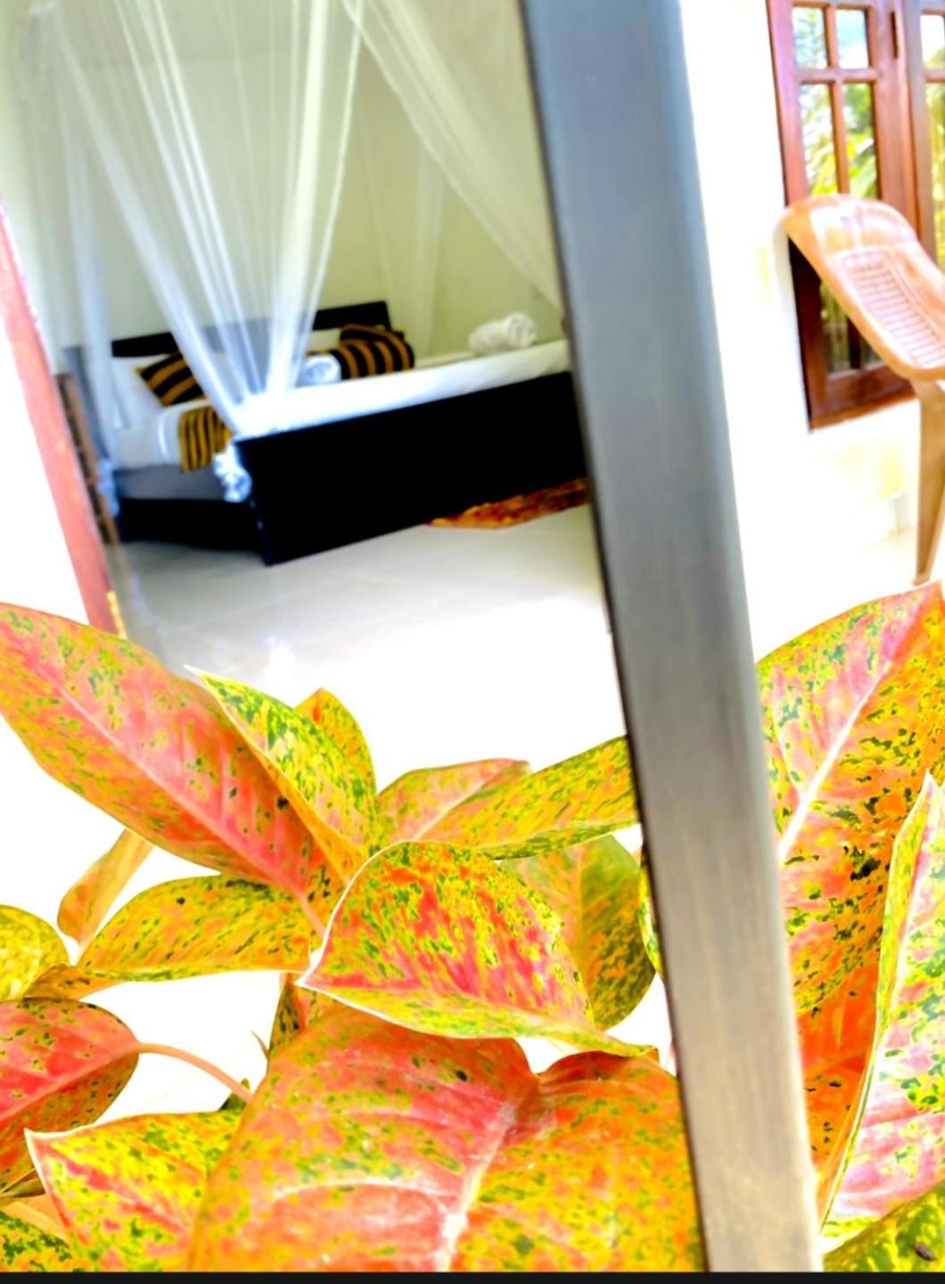 Sadew Homestay
