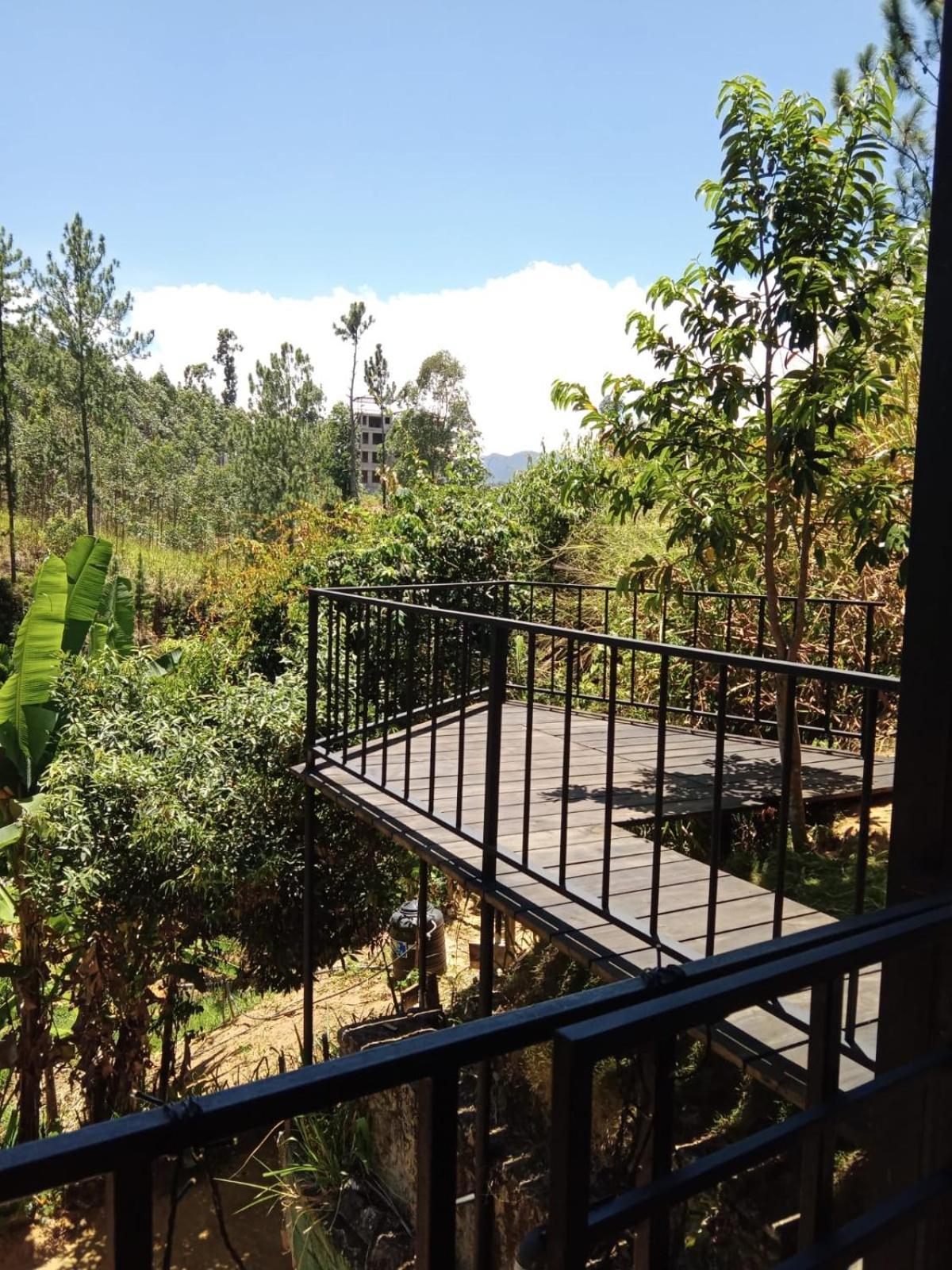 Guest house Mount Crest - Ella