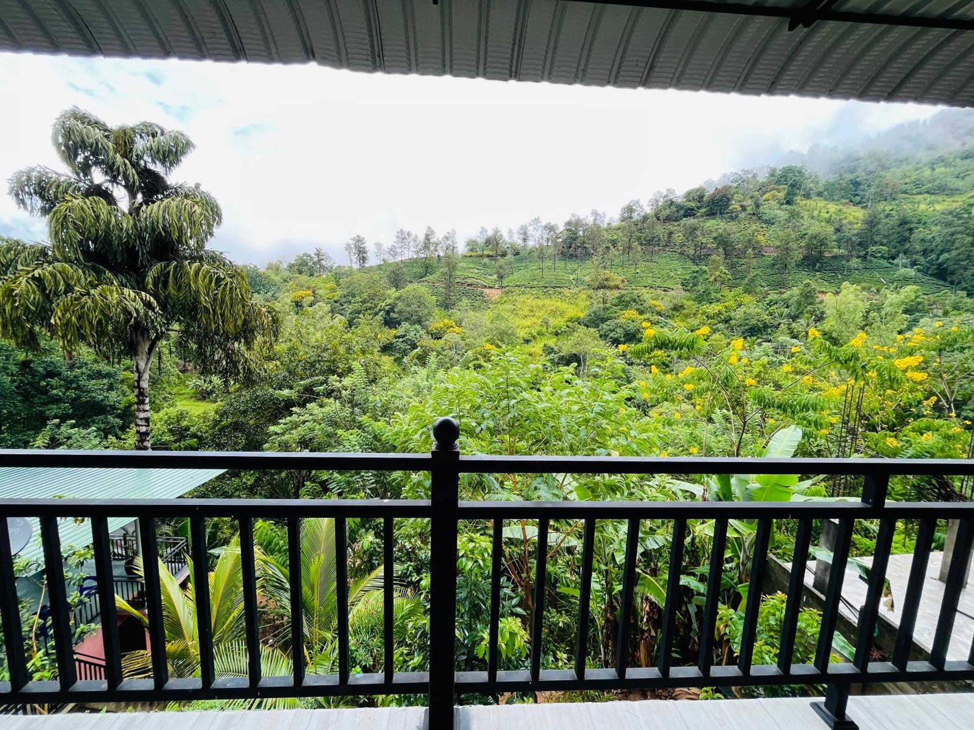 Guest house Tea Pick View