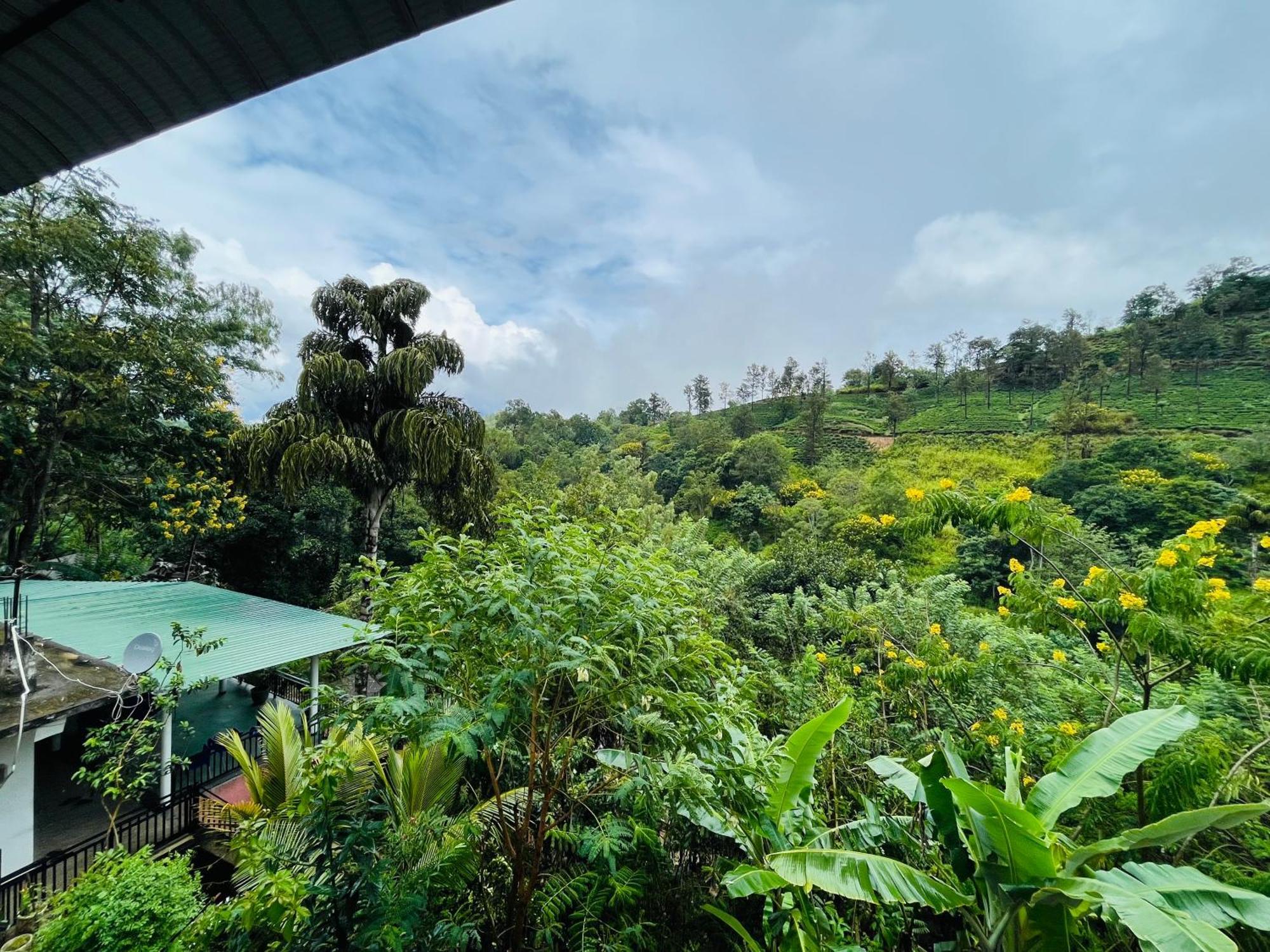 Guest house Tea Pick View *