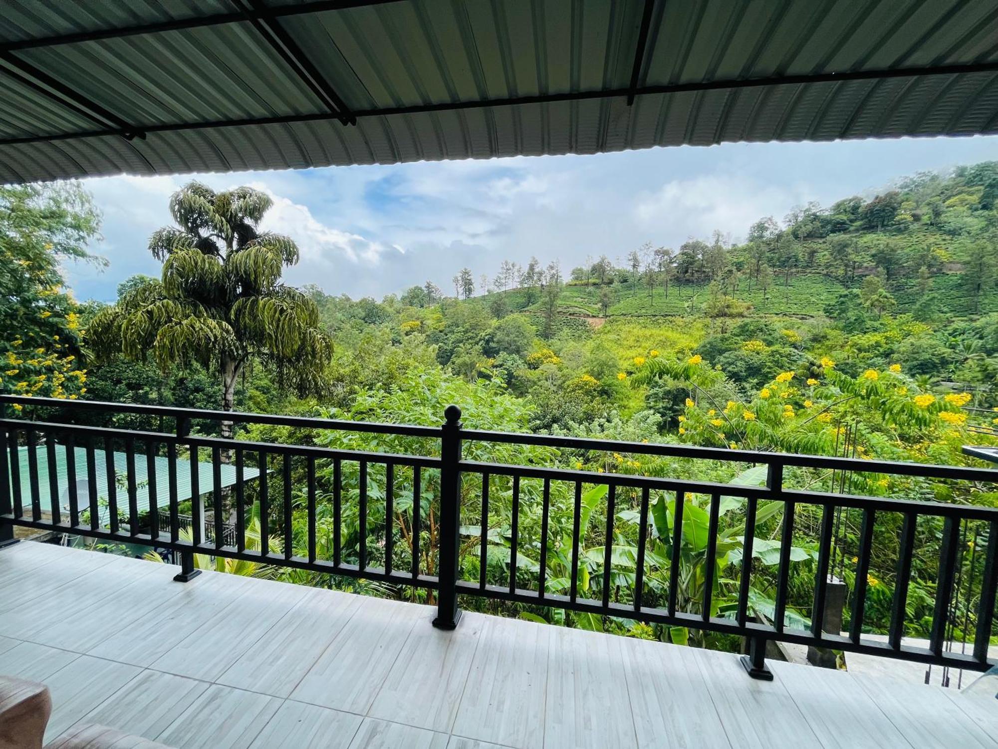 Tea Pick View Ella