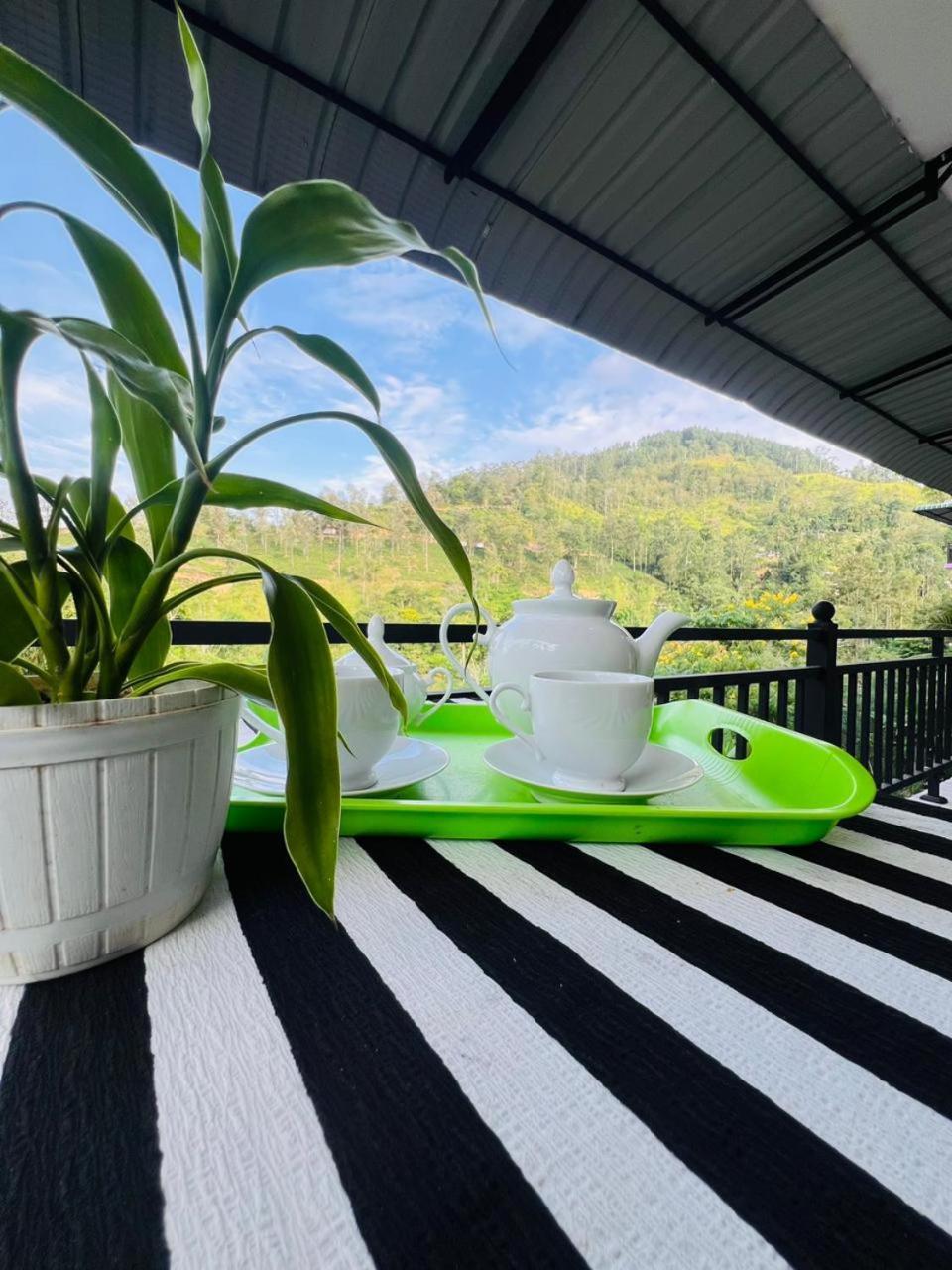 Tea Pick View Ella