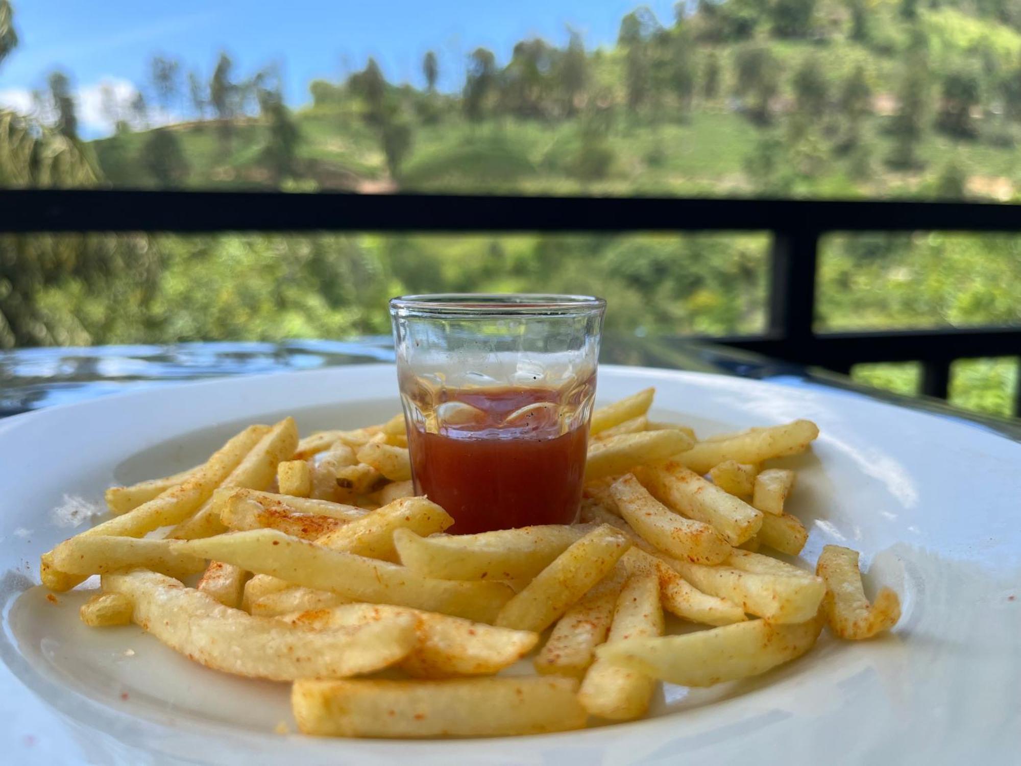 Guest house Tea Pick View