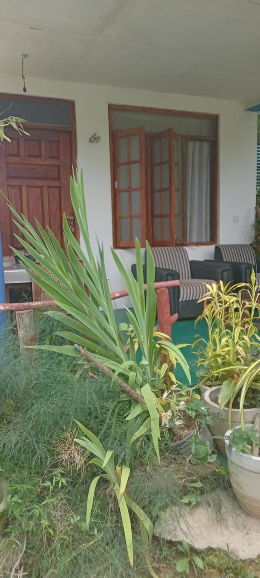 Bed & Breakfast The Horizon Root