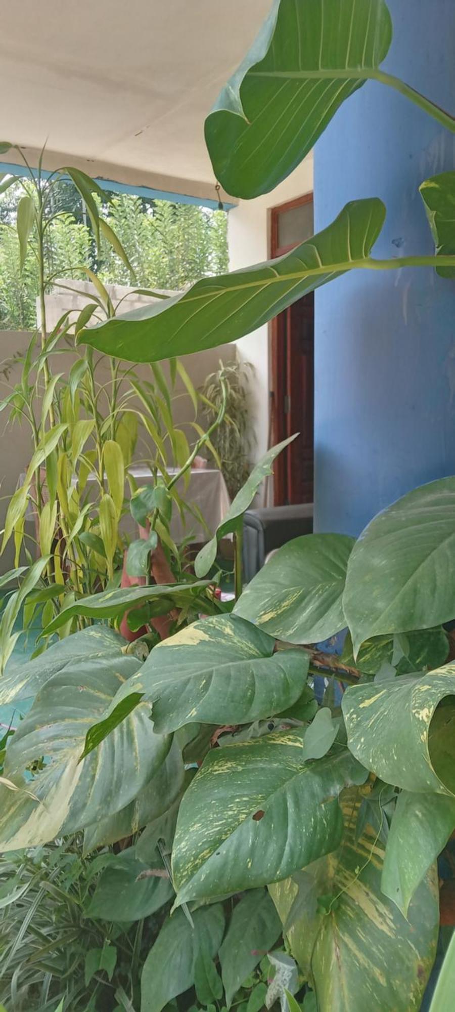 Bed & Breakfast The Horizon Root 2*
