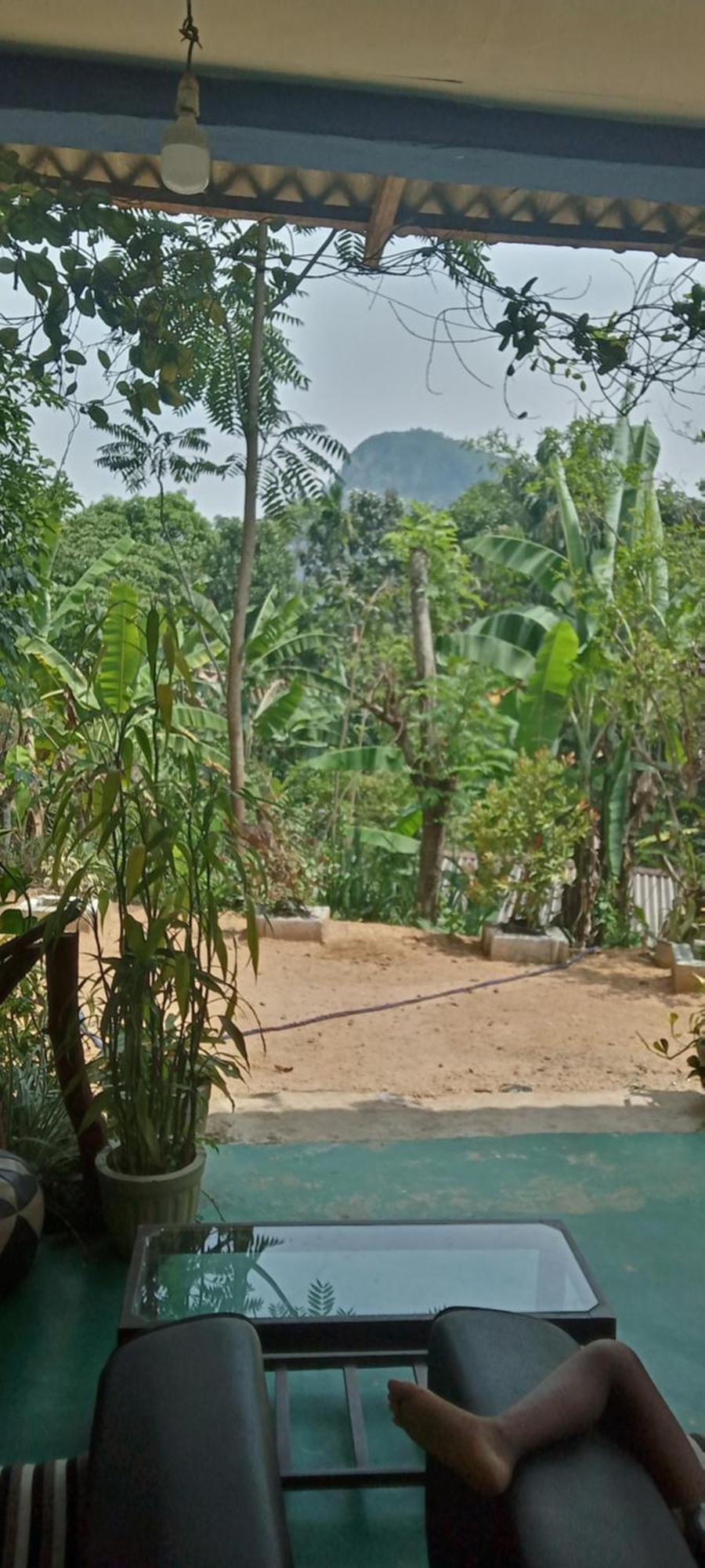 The Horizon Root Bed & Breakfast Ella