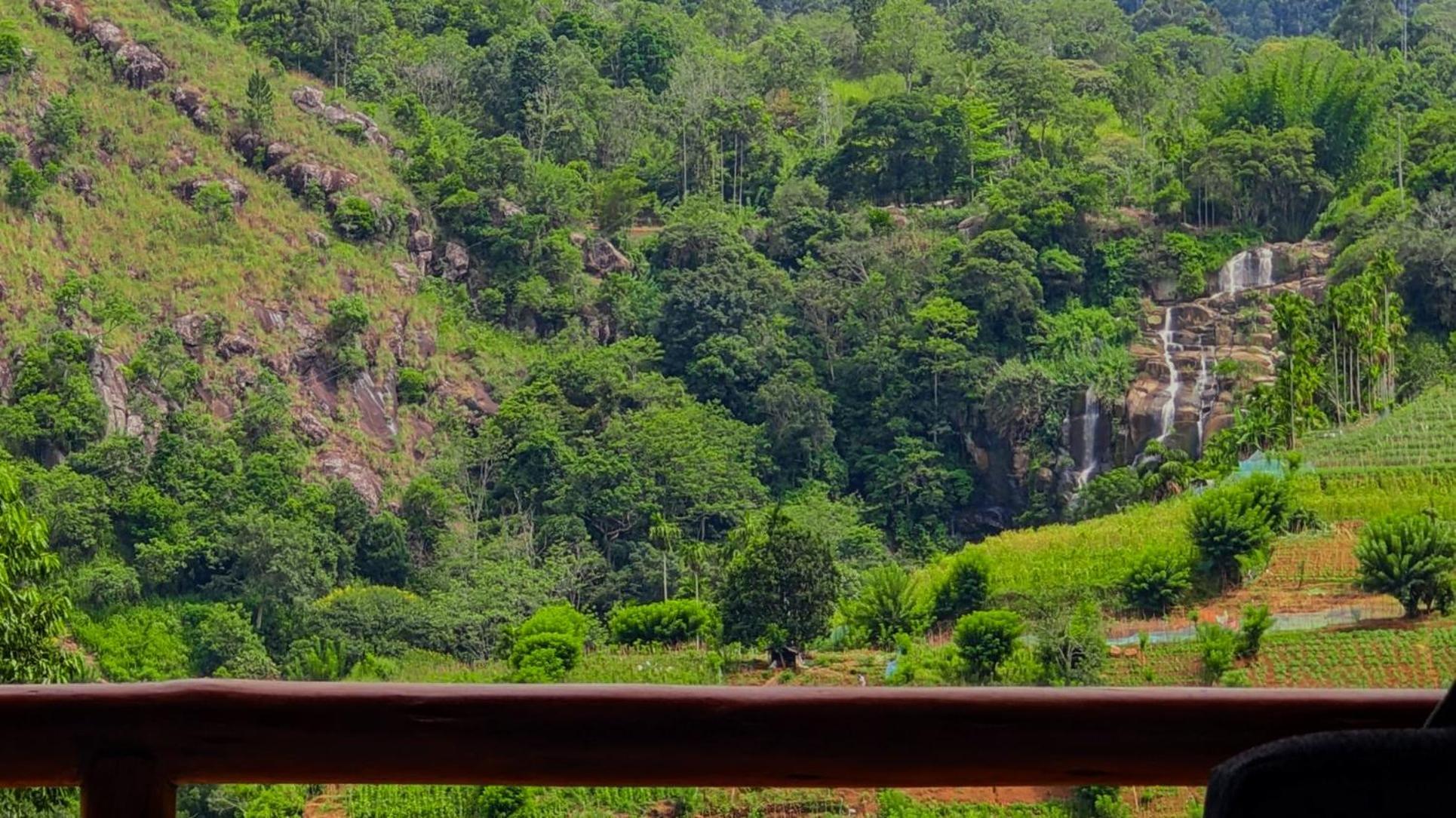 Bed & Breakfast Lovers View