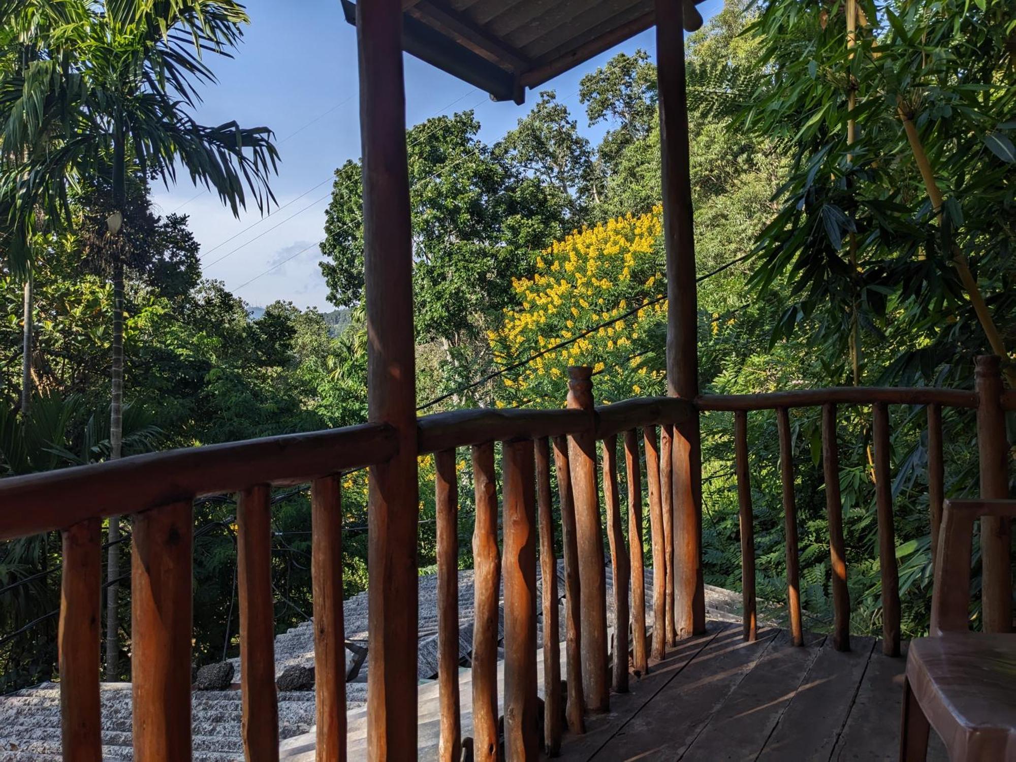 Bed & Breakfast Nature Shade Ella