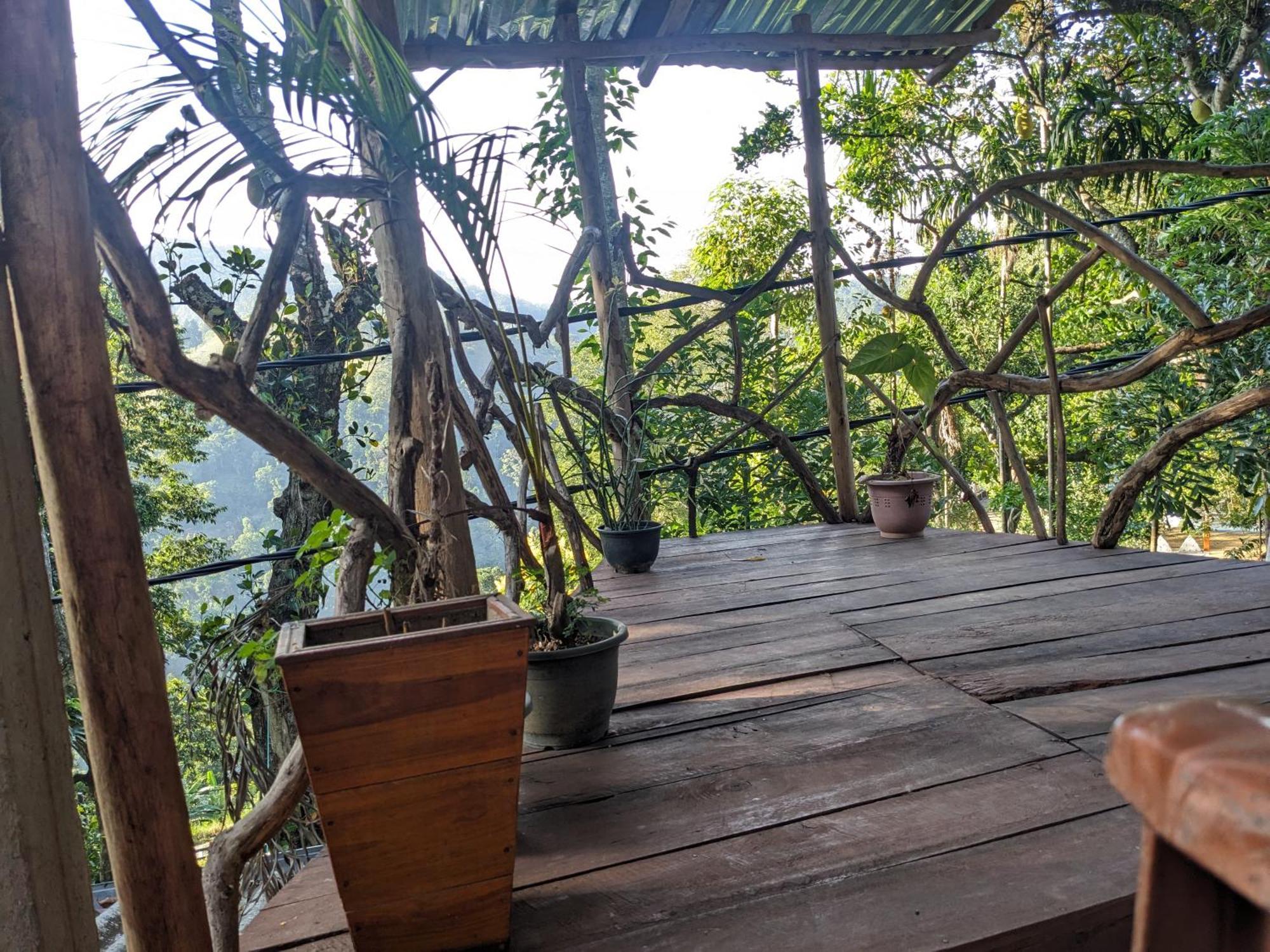 Nature Shade Bed & Breakfast Ella