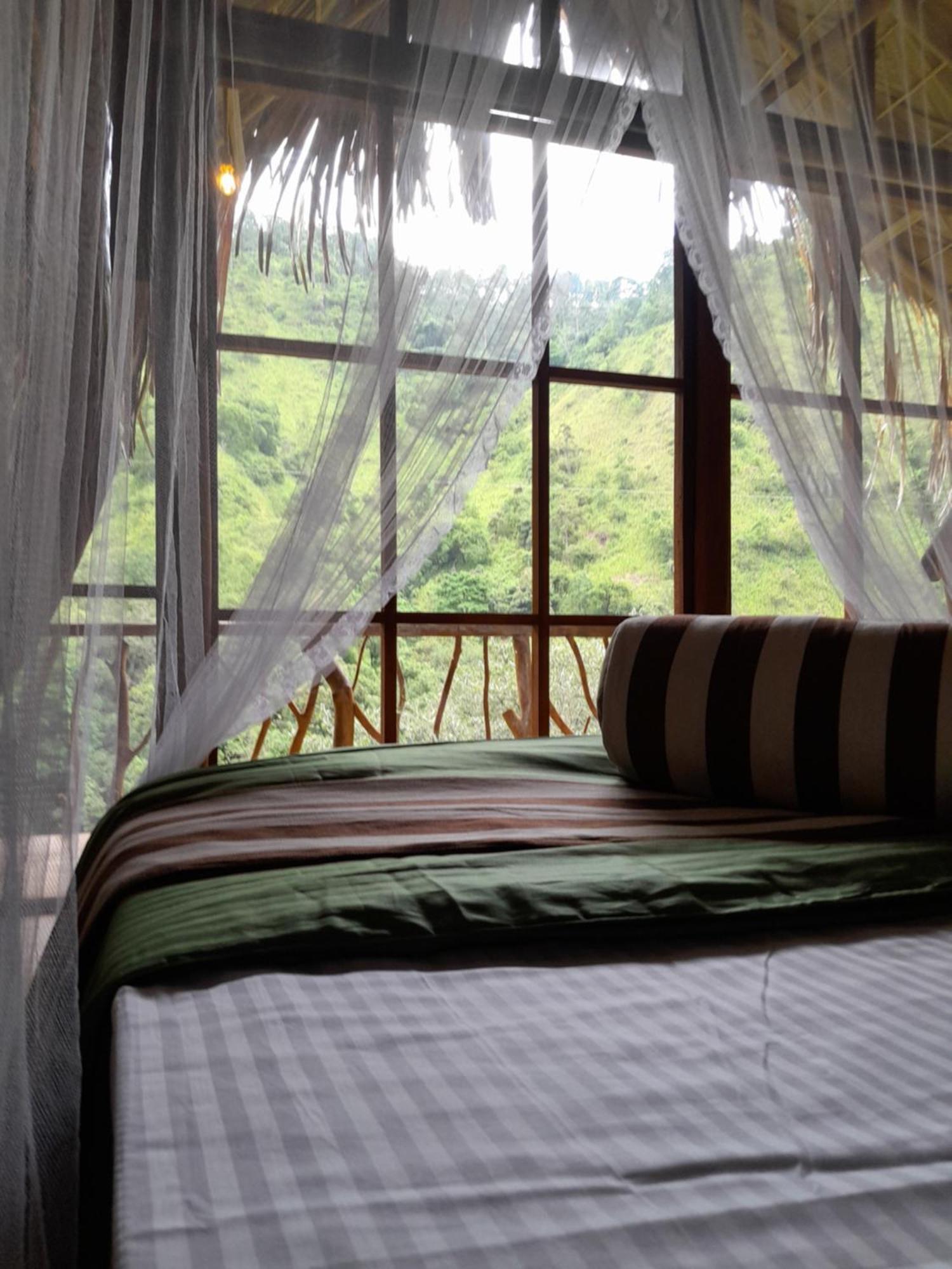 Hotel Wood Palace 5*