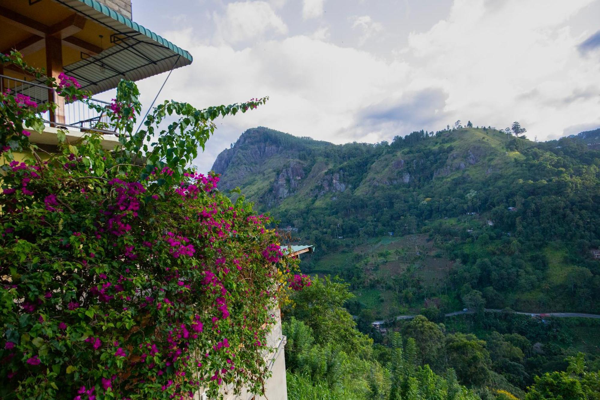 Bed & Breakfast Hill Ella