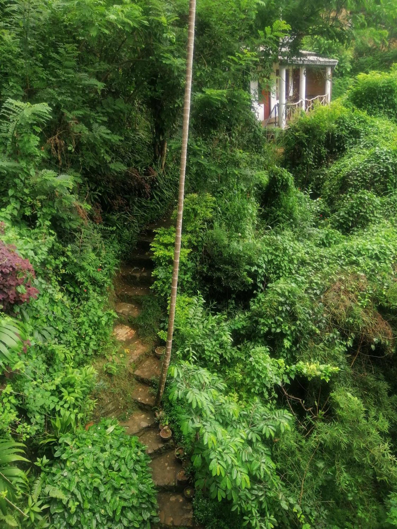 Super View *