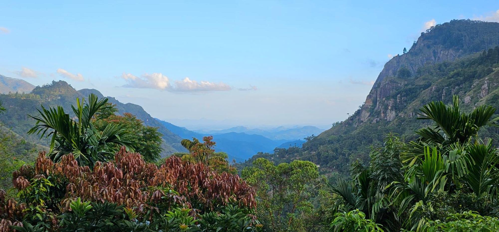 Homestay Mount View Guest Ella